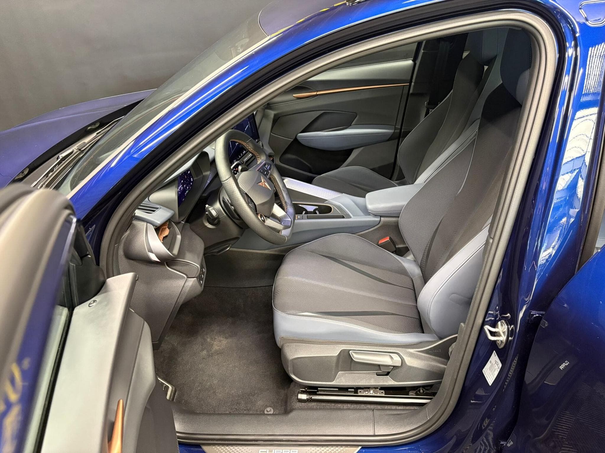 Cupra Terramar VZ 2.0 TSI 265cv PANO/ATTELAGE/CAM360 (2025) - Photo 15