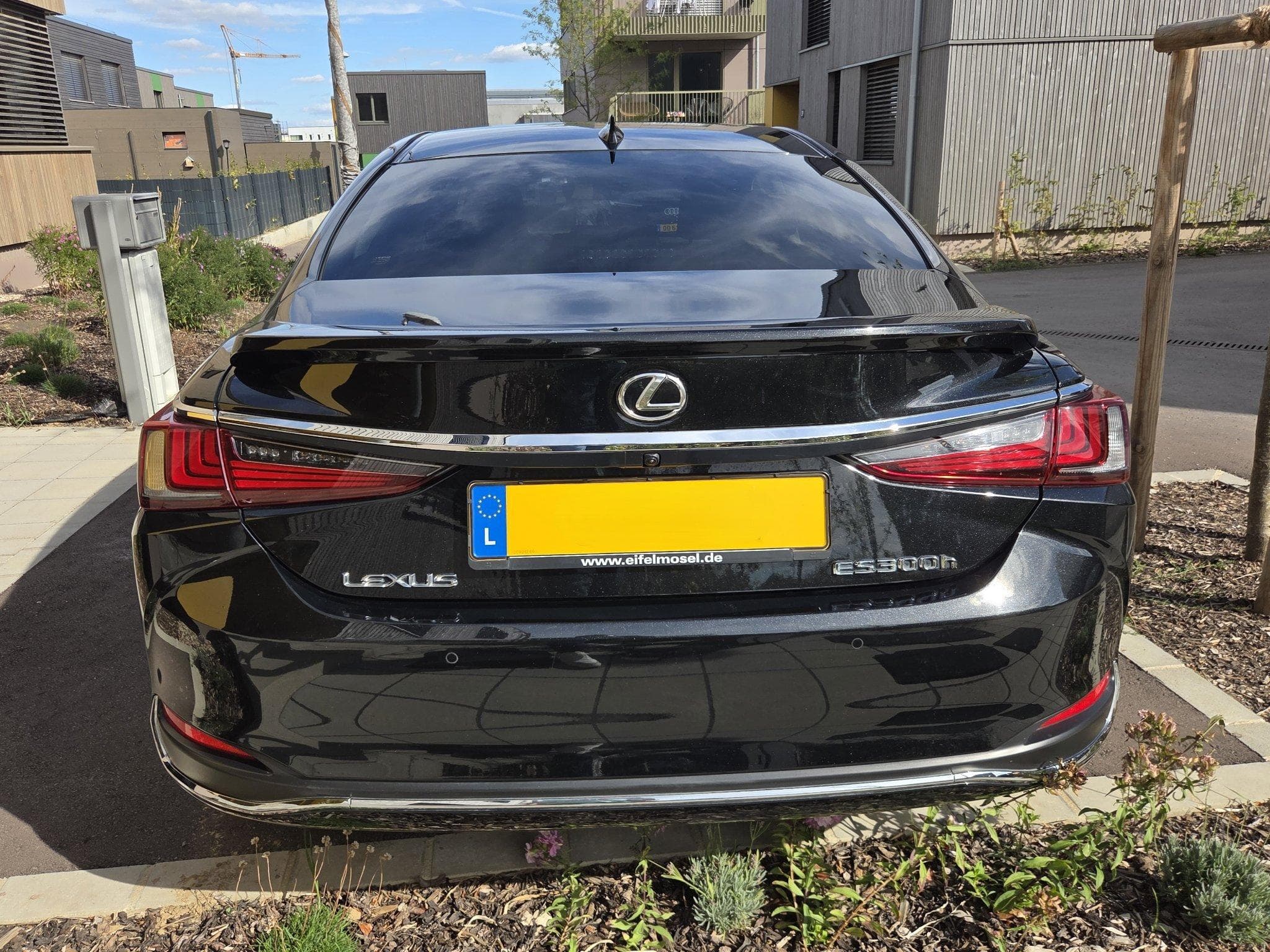 Lexus ES Business line (2024) - Photo 3