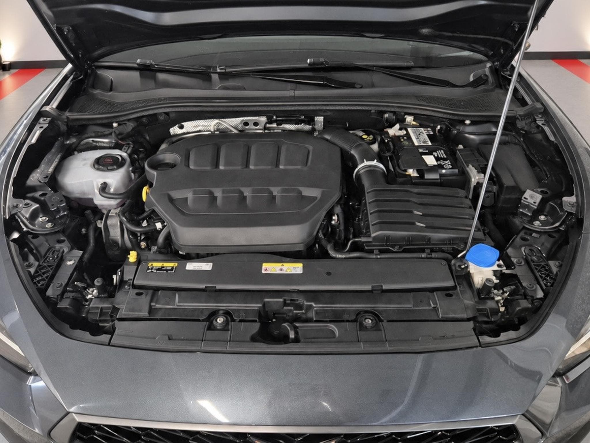Cupra Leon Cupra Leon VZ 300 CV DSG (2021) - Photo 12