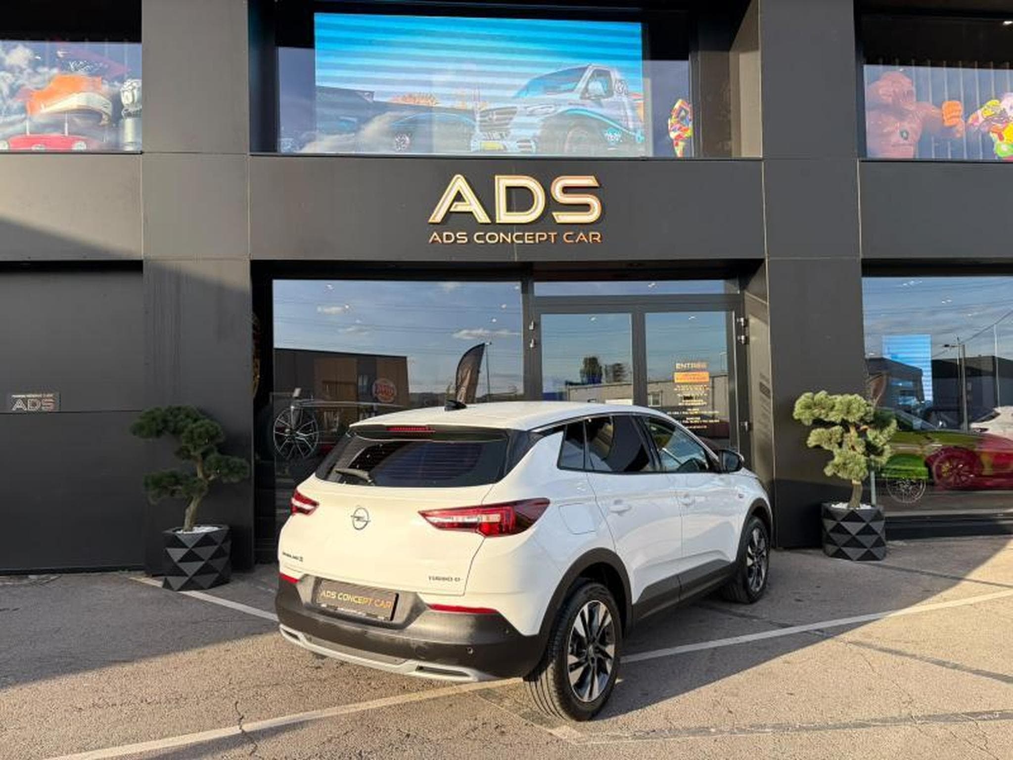 Opel Grandland X Business INNOVATION 1.5 130ch (2019) - Foto 20