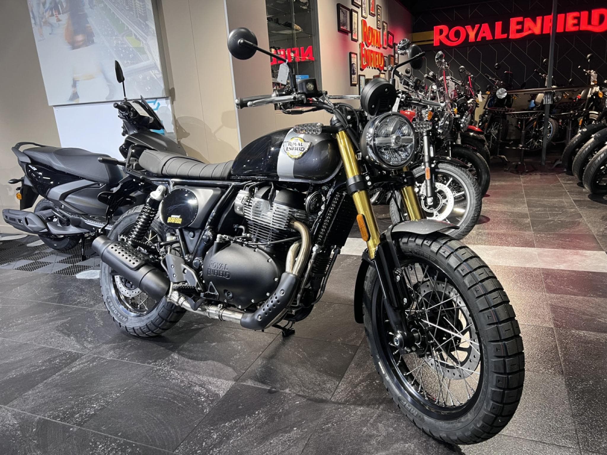 Royal Enfield Bear 650 Golden Shadow (2025) - Photo 7