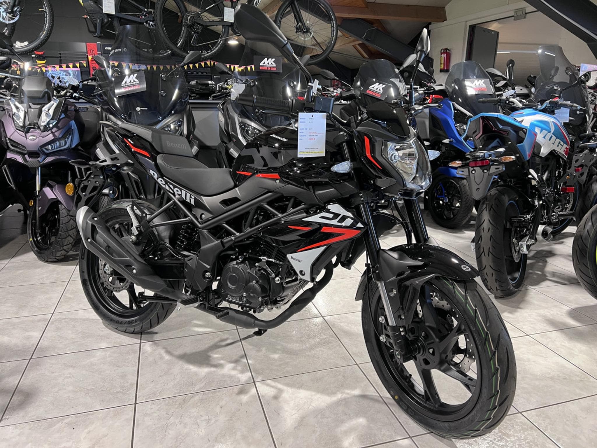 Benelli BN (2026) - Photo 7