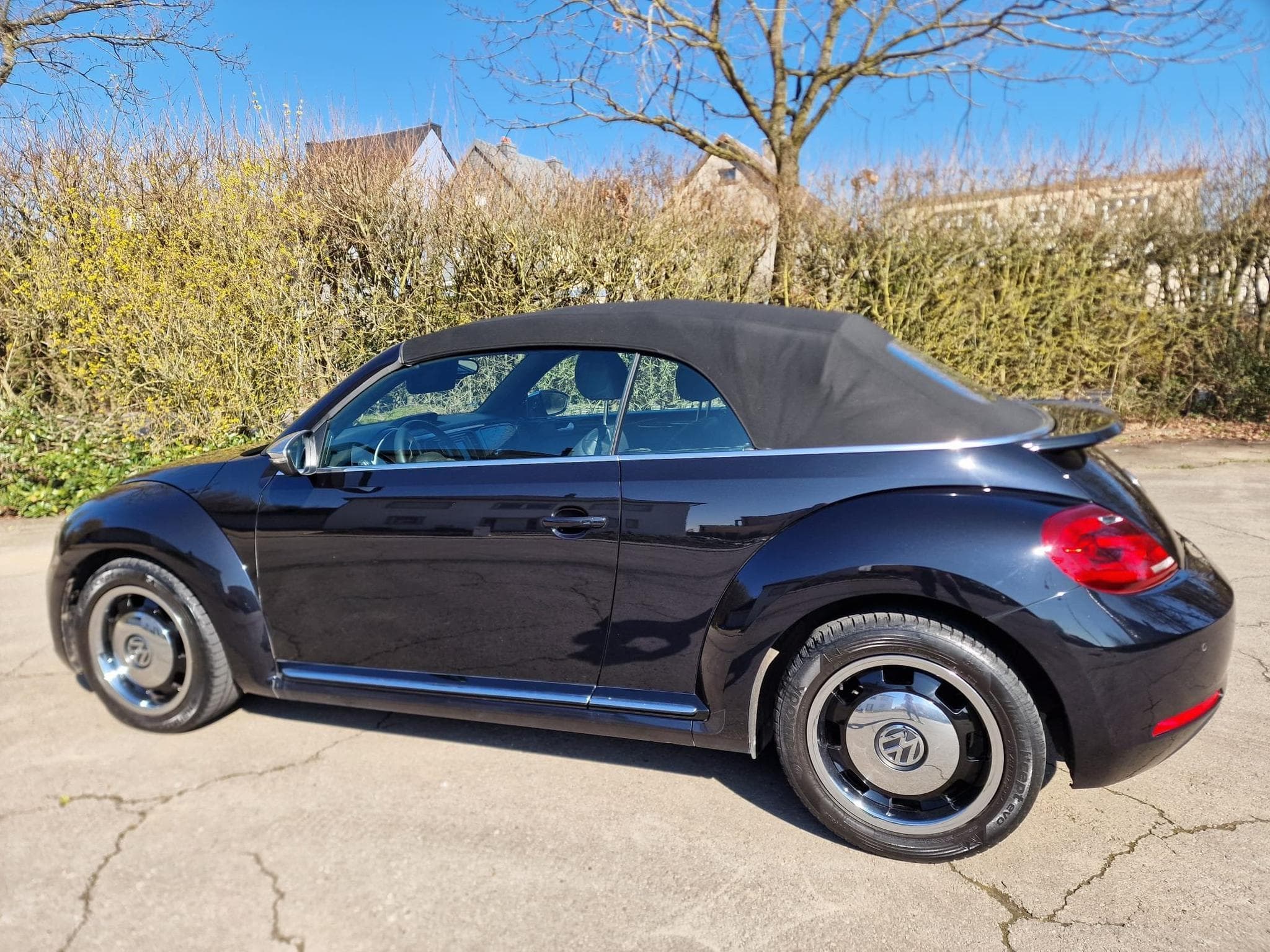 VW Beetle Sport Cabriolet (2015) - Photo 3