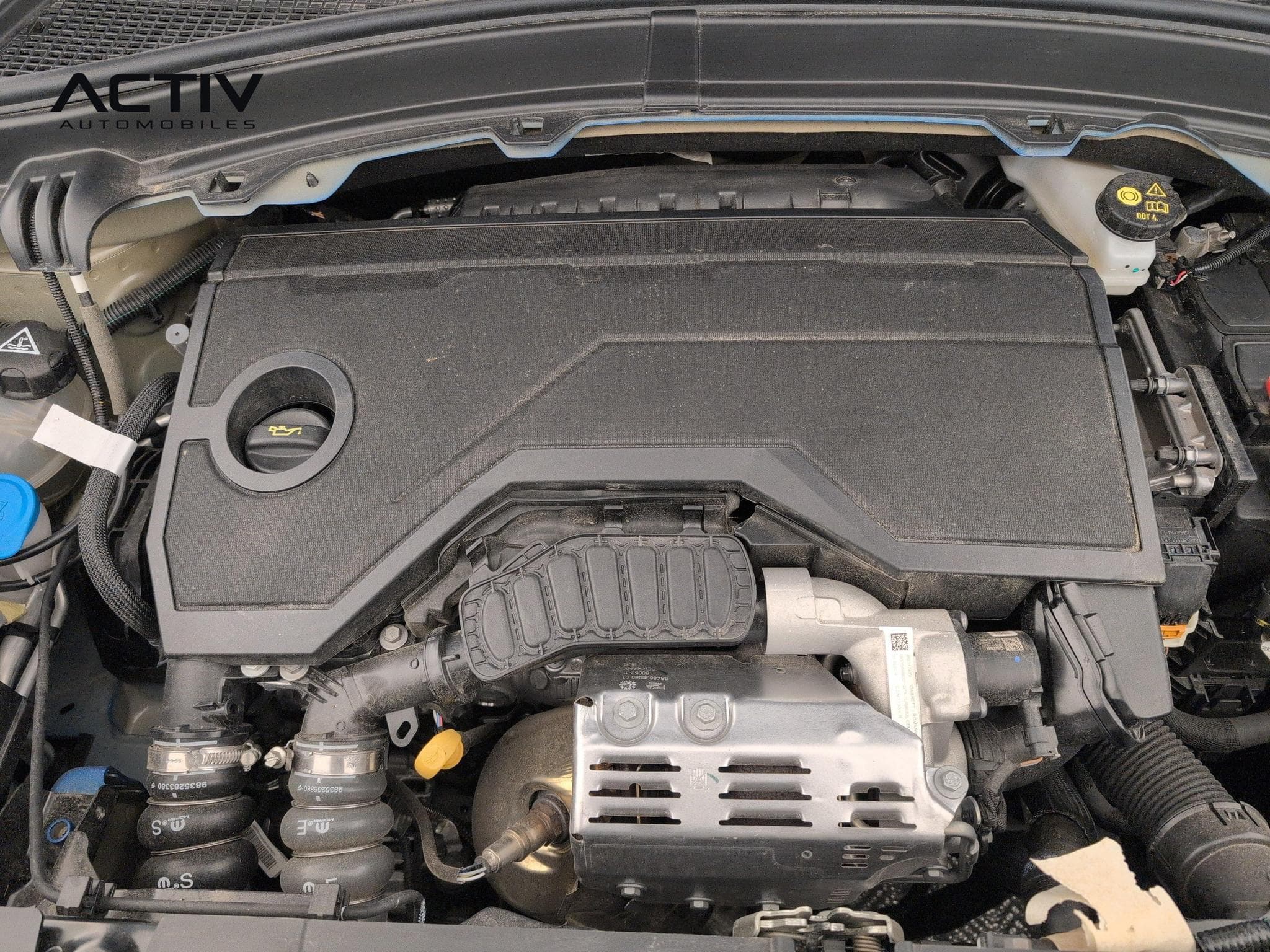 Citroën C3 TURBO 100 CH MANUELLE PLUS (2025) - Photo 20