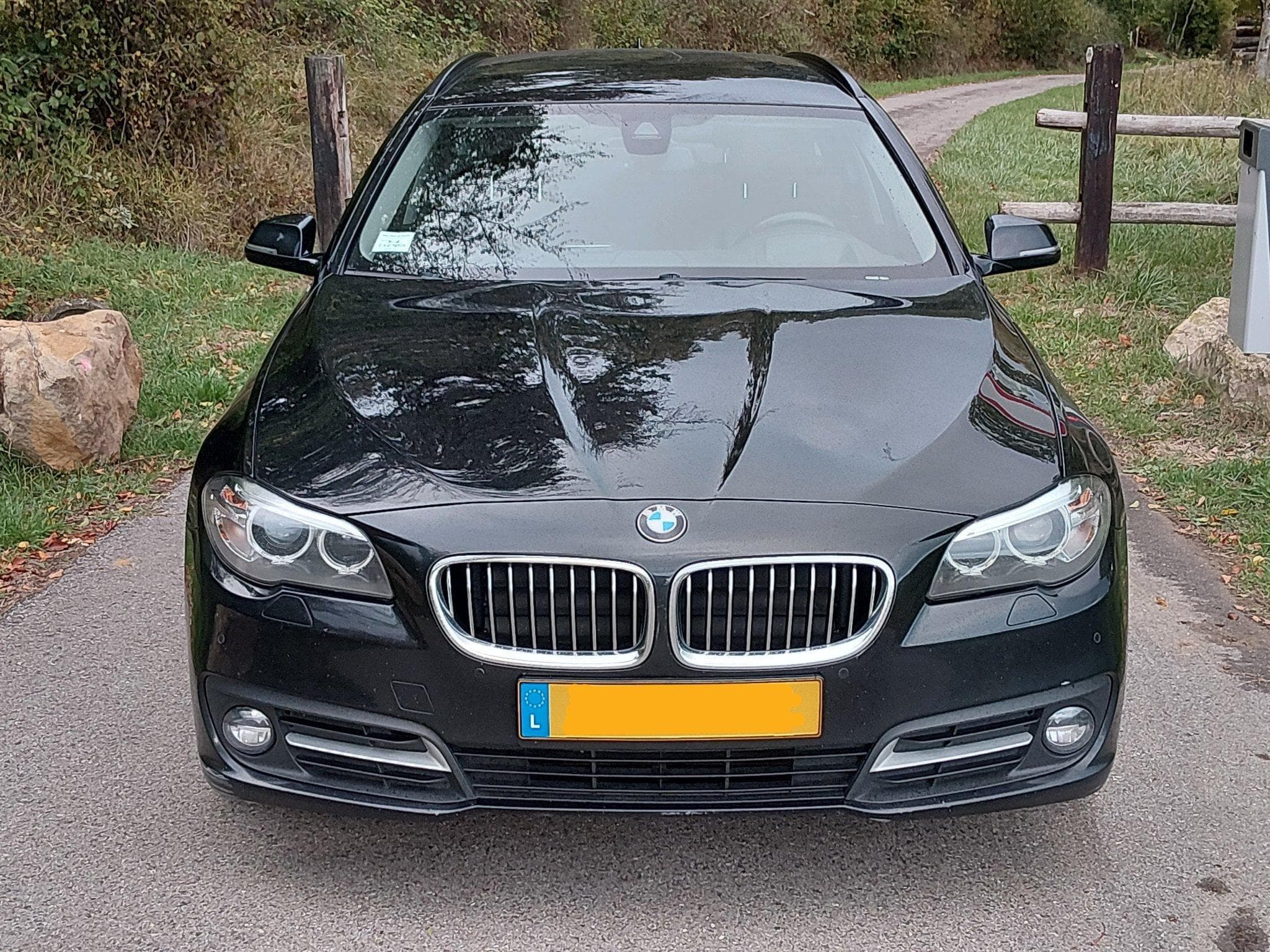 BMW 520 F11 (2016) - Foto 3