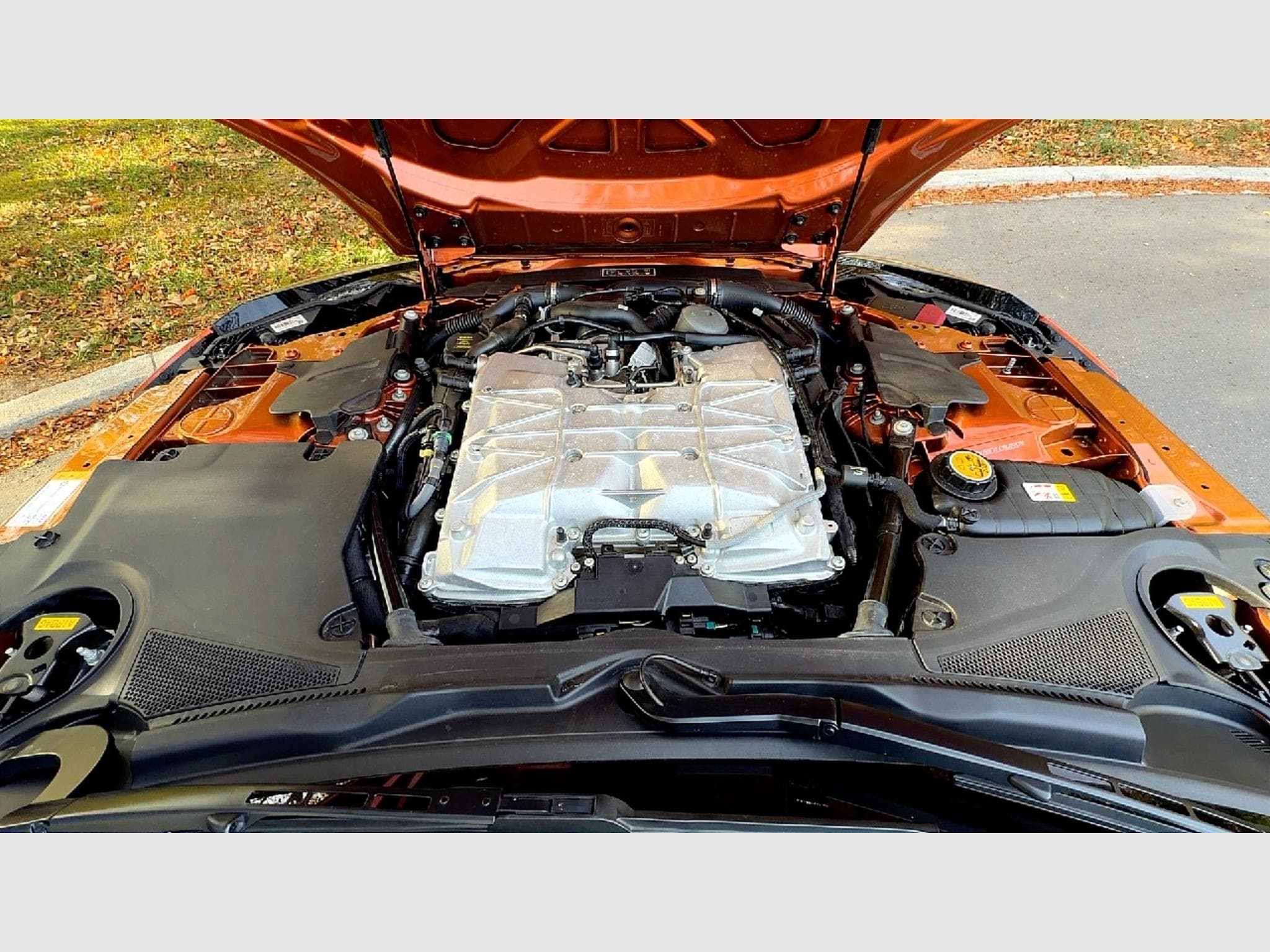 Jaguar F-Type SVR Cabriolet (2019) - Photo 10