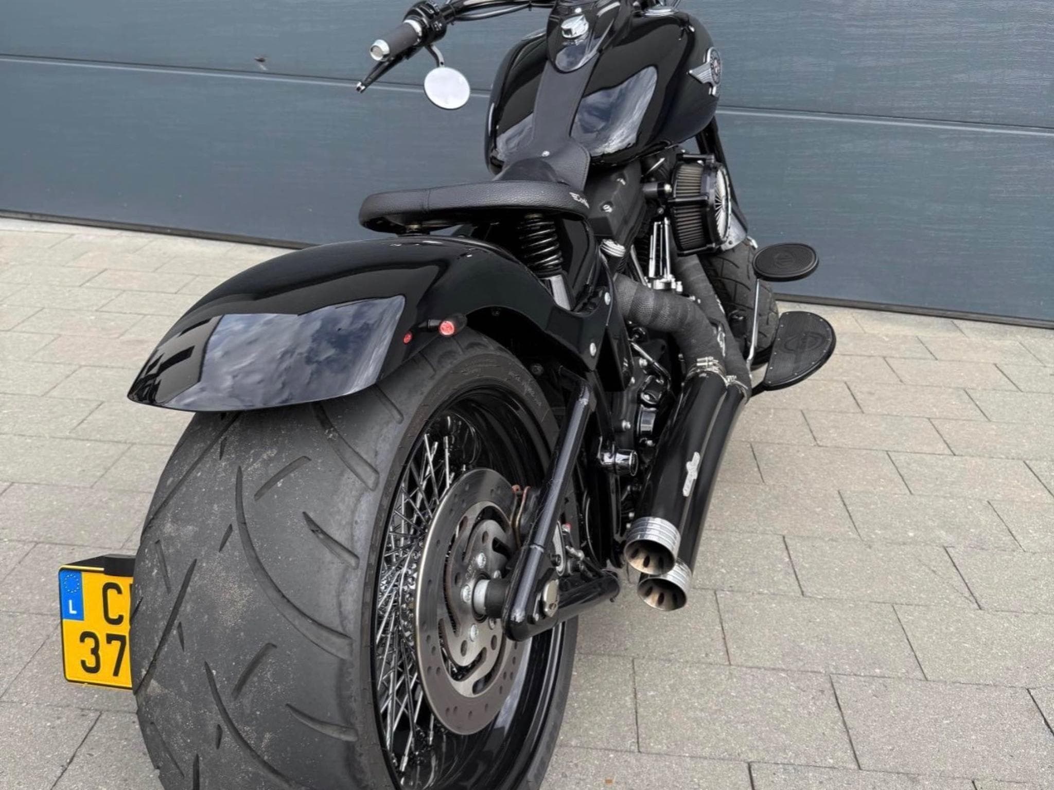Harley-Davidson Cross Bones (2008) - Photo 5