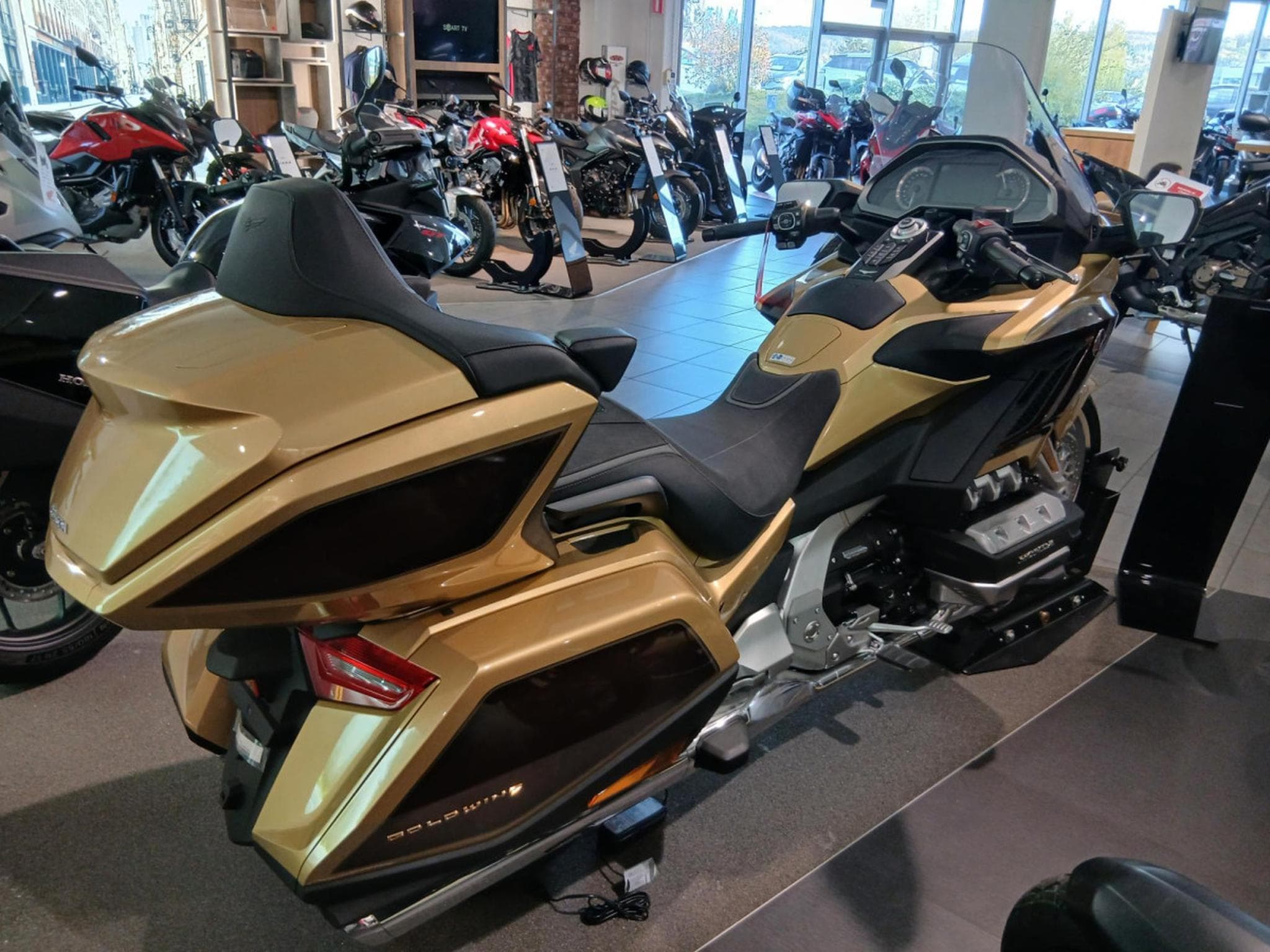 Honda Gold Wing (2026) - Foto 3