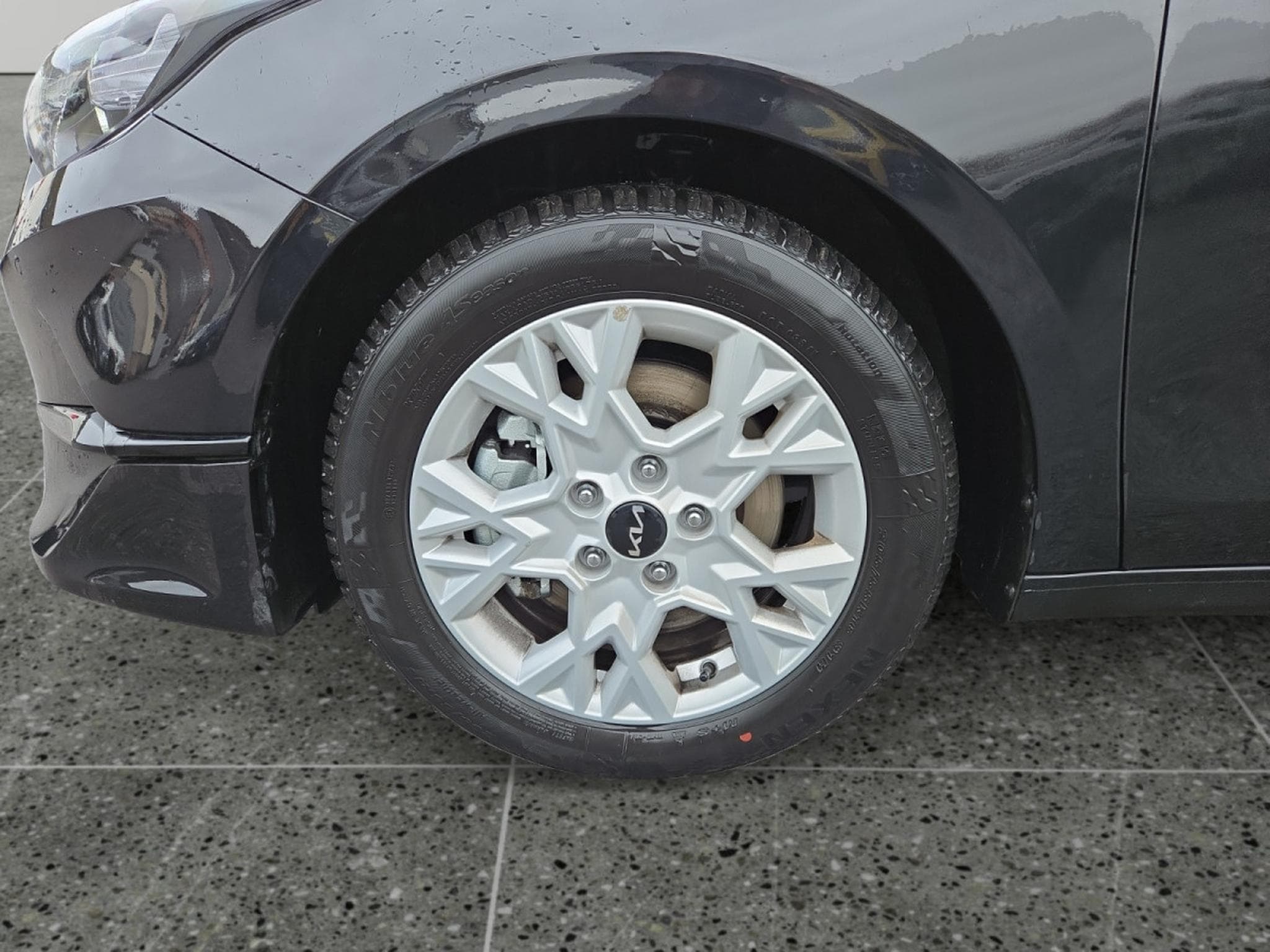 Kia Ceed Pulse 1.0 T-GDi 100 MHEV DCT7 (2025) - Foto 19