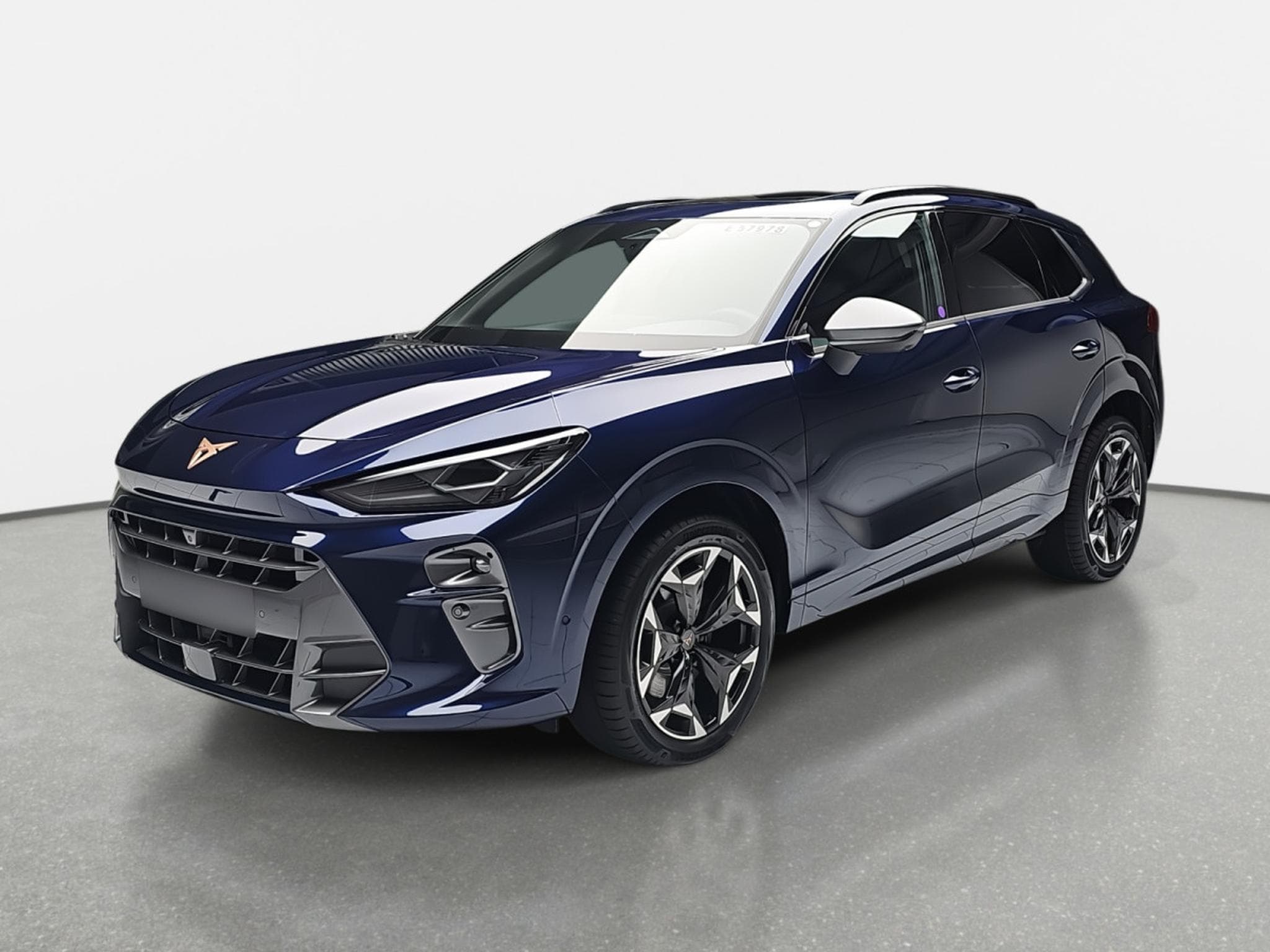 Cupra Terramar 2.0 TSI DSG 265 VZ 4Drive (2025) - Photo 2