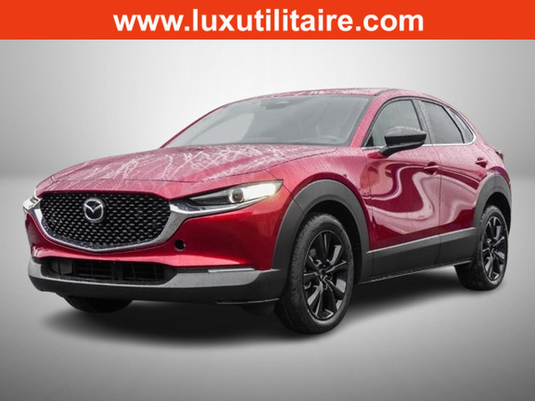 Mazda CX-30 2.5 E-Skyactiv G 140 Homura (2025) - Foto 1