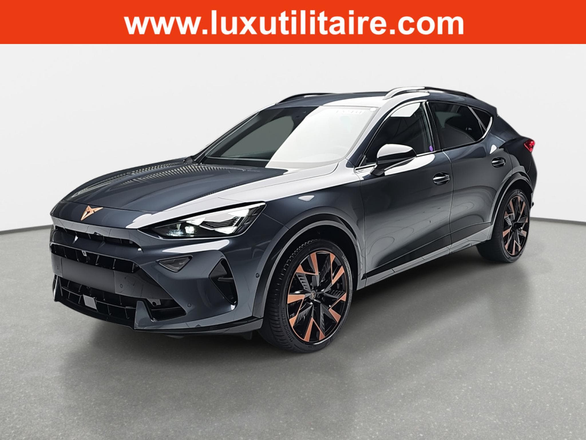 Cupra Formentor 2.0 TSi DSG 333 4DRIVE (2026) - Photo 2