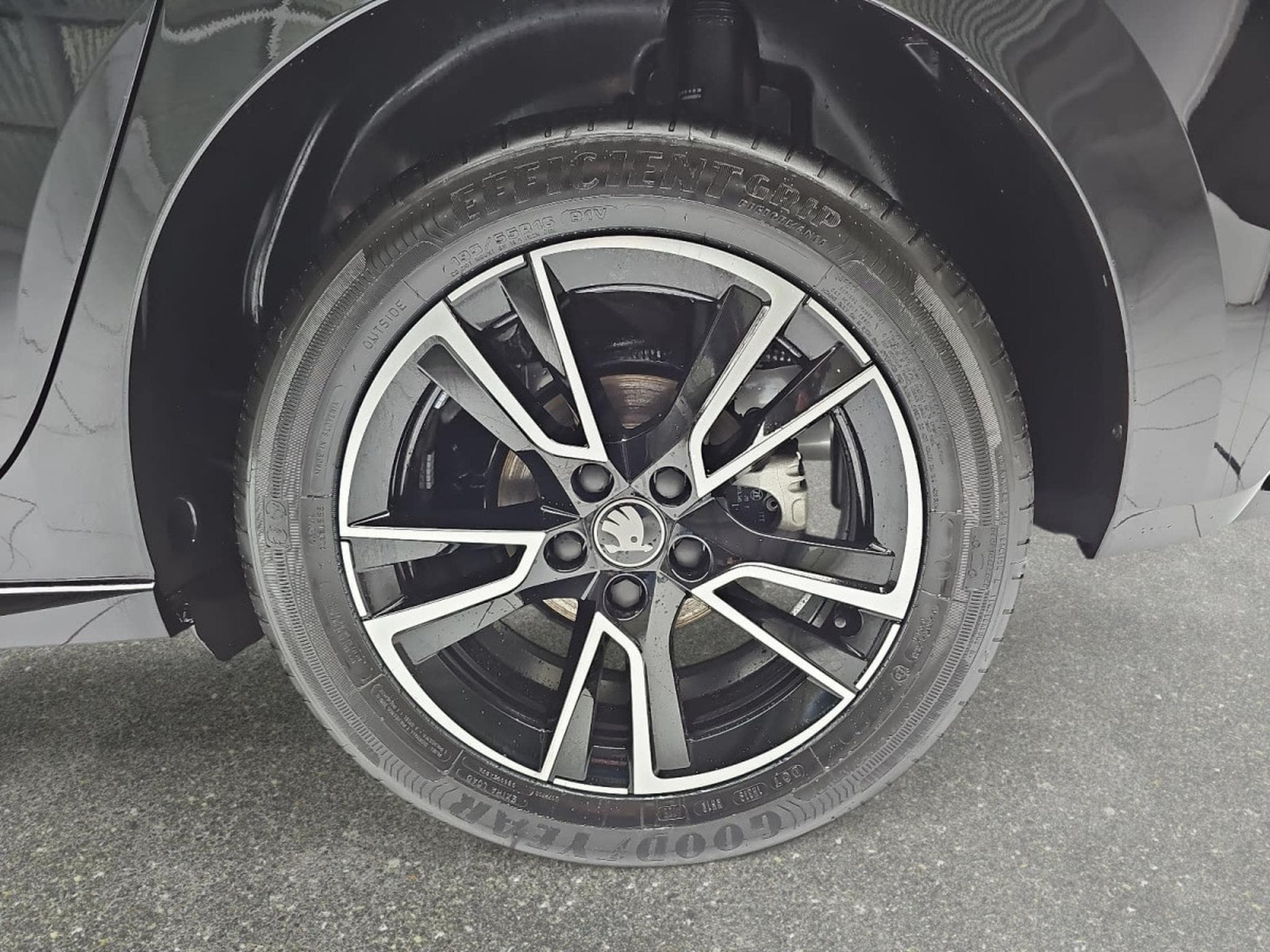 Skoda Fabia 1.0 TSi 116 DSG Monte Carlo (2025) - Foto 6