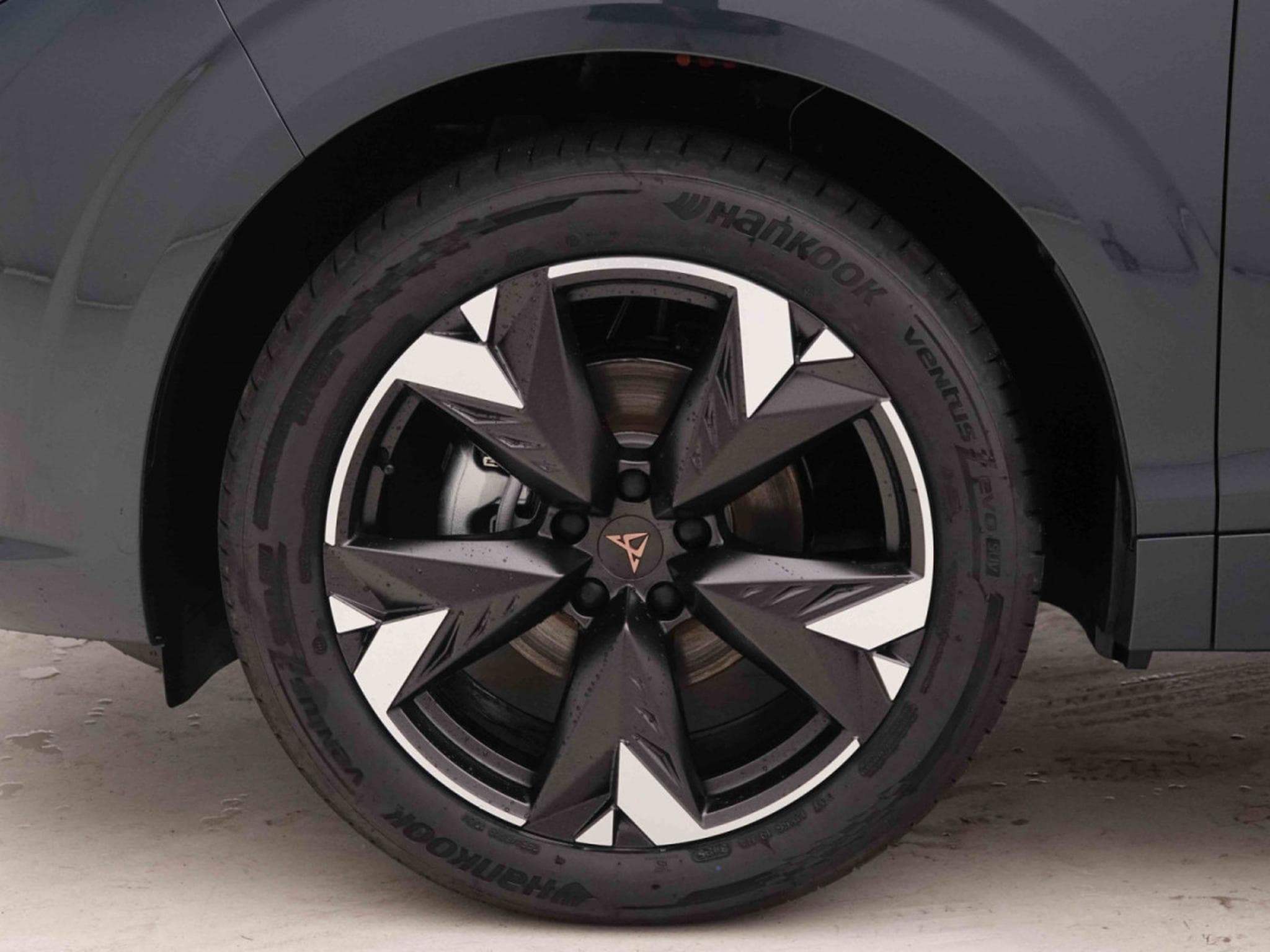 Cupra Terramar 1.5 TSI DSG 150 Edge (2025) - Photo 4
