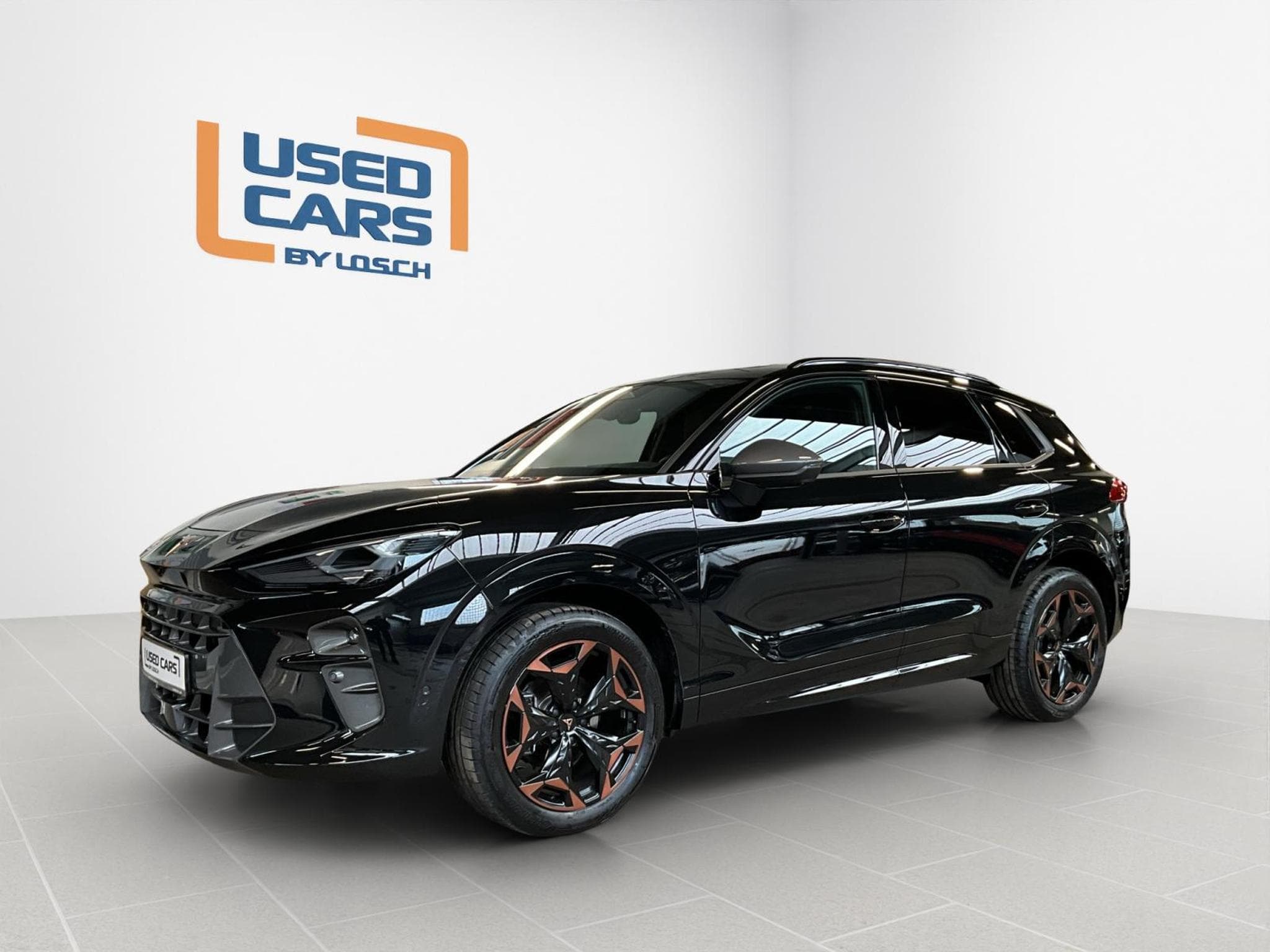 Cupra Terramar DSG+Pano+AHK+Stand.H (2025) - Photo 4