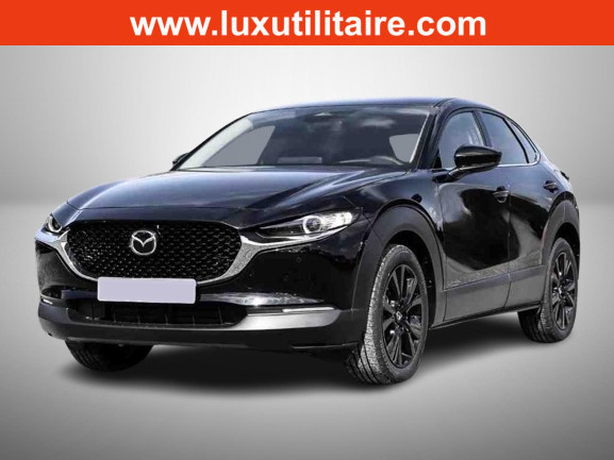 Mazda CX-30 2.5 E-Skyactiv G 140 Homura (2025) - Photo 1