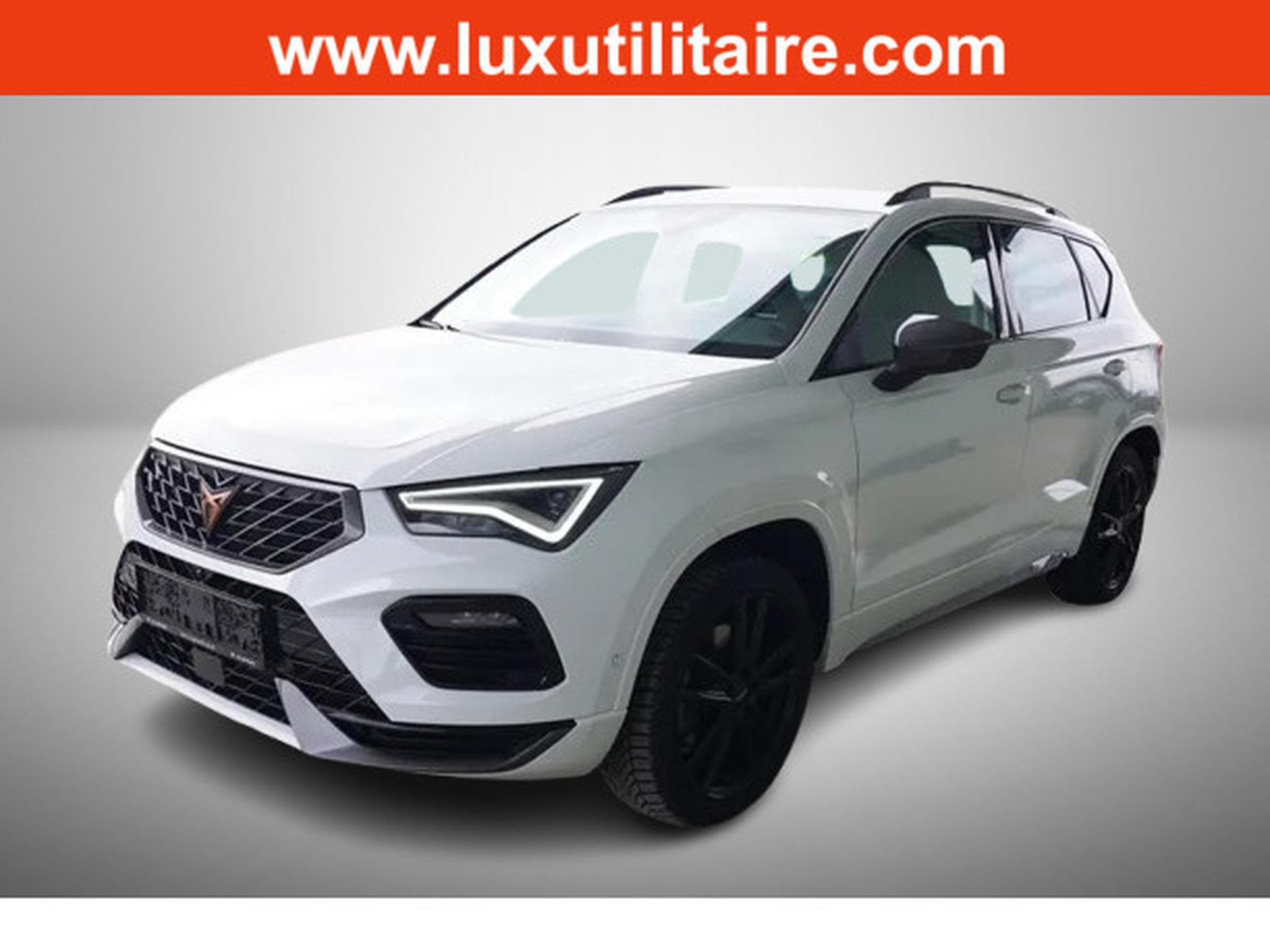 Cupra Ateca 2.0 TSi DSG 190 (2025) - Photo 1