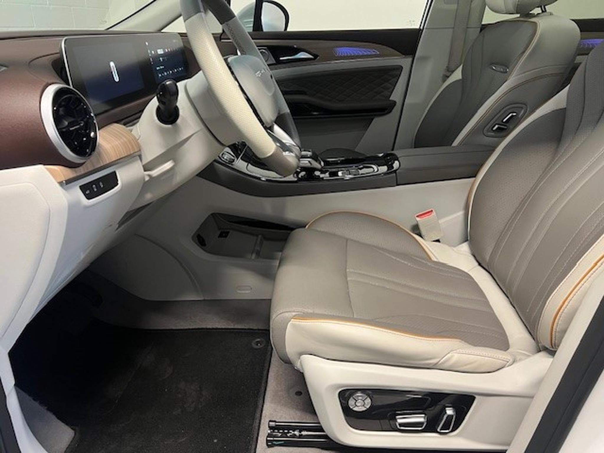Forthing U-Tour 1.5 T-GDI PREMIUM AUT 7 PLACES (2024) - Foto 3
