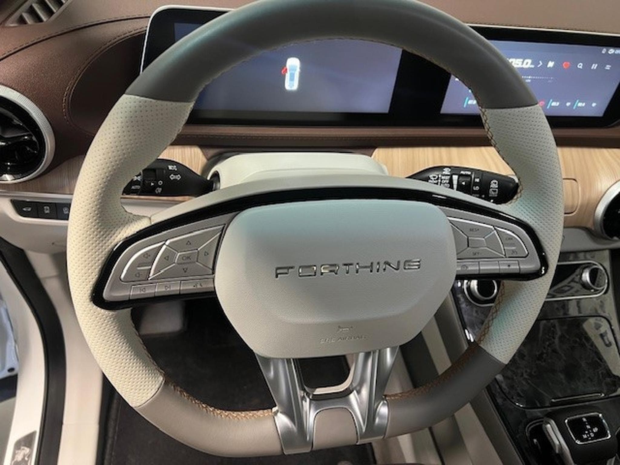 Forthing U-Tour 1.5 T-GDI PREMIUM AUT 7 PLACES (2024) - Foto 4