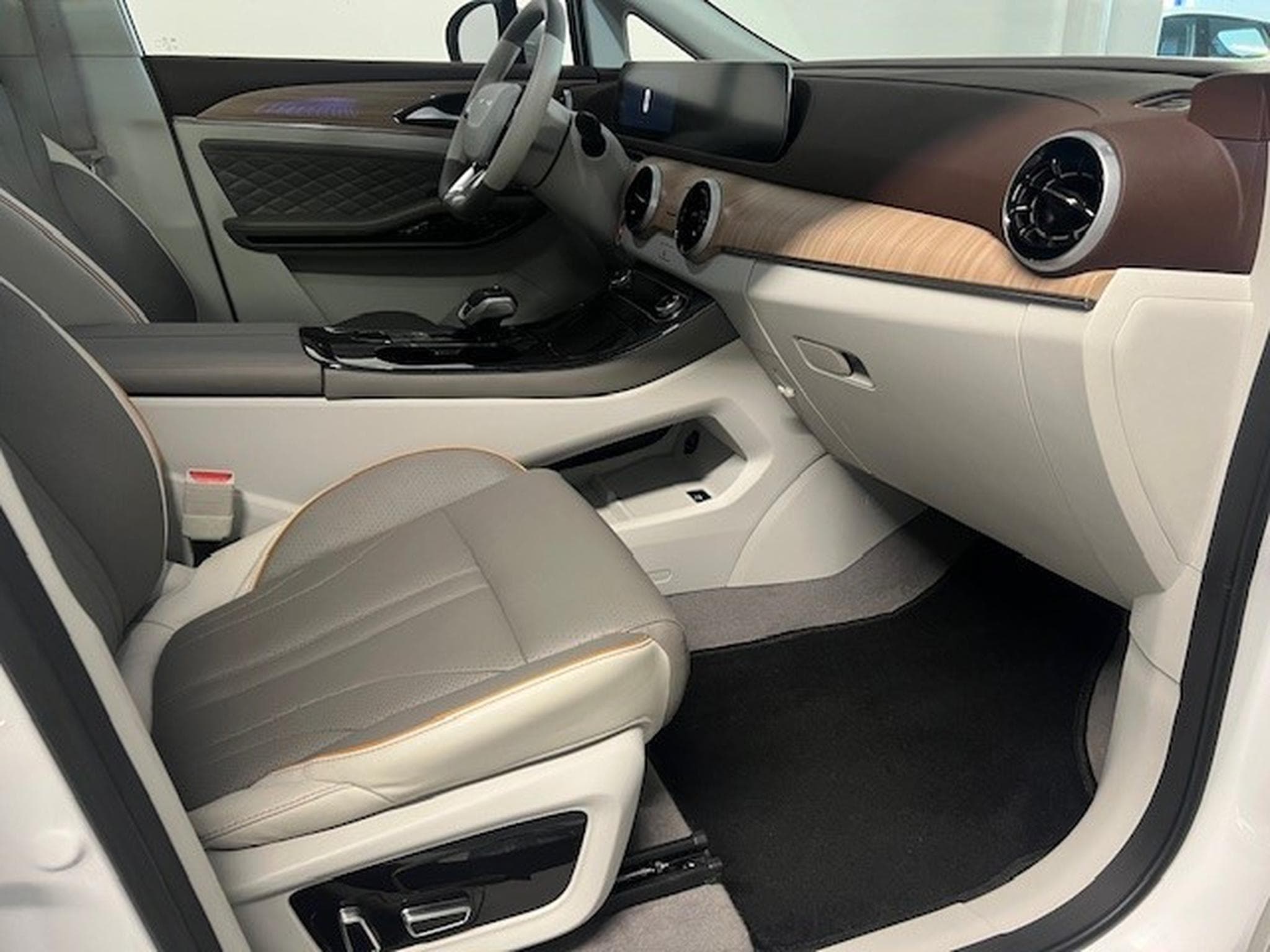 Forthing U-Tour 1.5 T-GDI PREMIUM AUT 7 PLACES (2024) - Foto 9
