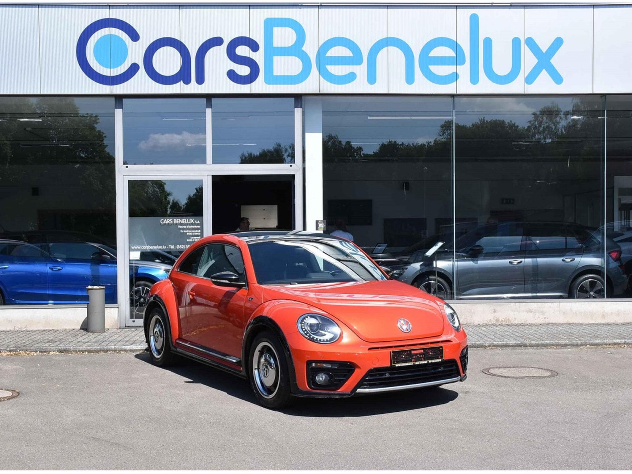 VW Beetle 1.4 TSI R-Line REGUL SG CHFF CAM XENON 1° MAIN (2017) - Foto 1
