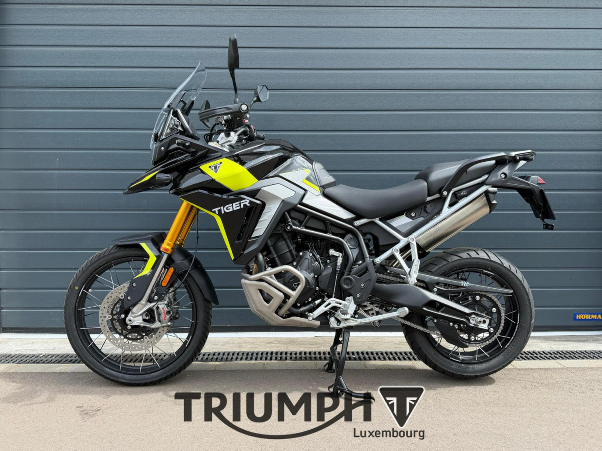 Triumph Tiger TIGER 900 RALLY PRO (2026) - Photo 1