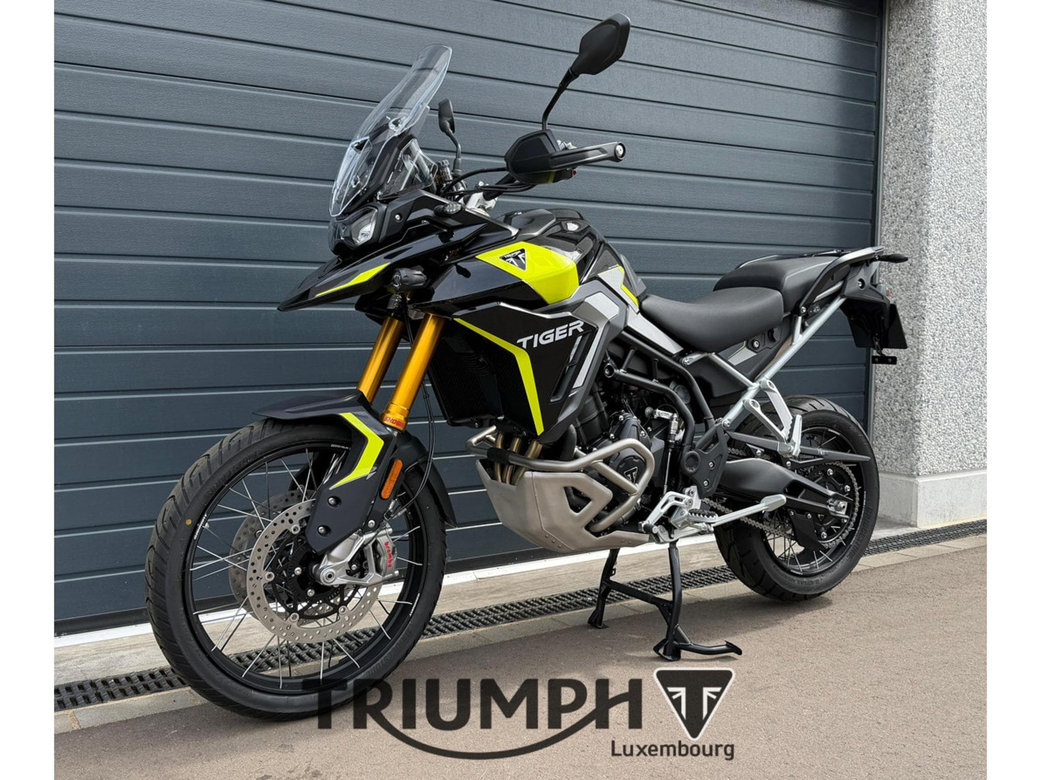 Triumph Tiger TIGER 900 RALLY PRO (2026) - Photo 3