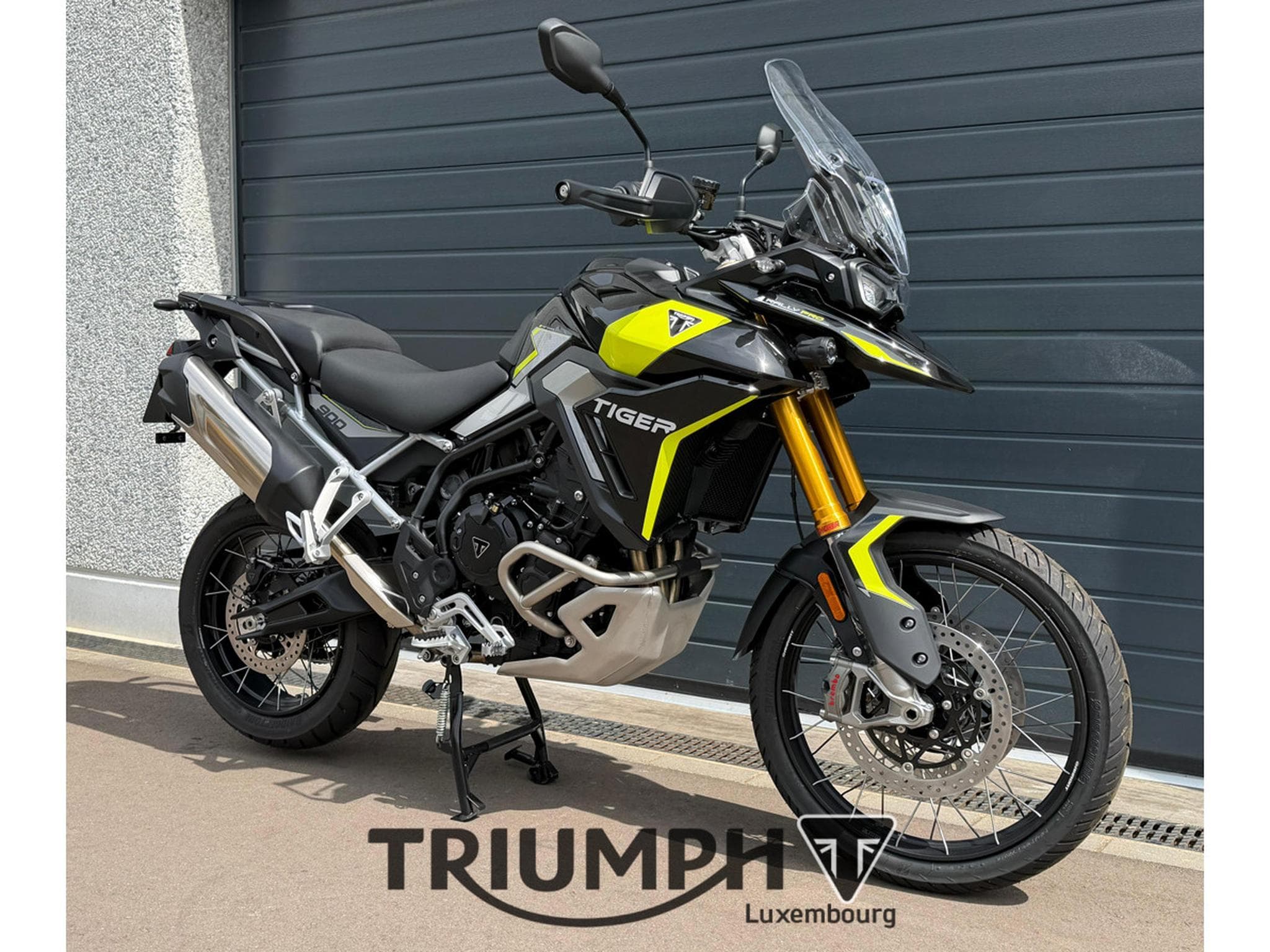 Triumph Tiger TIGER 900 RALLY PRO (2026) - Photo 6