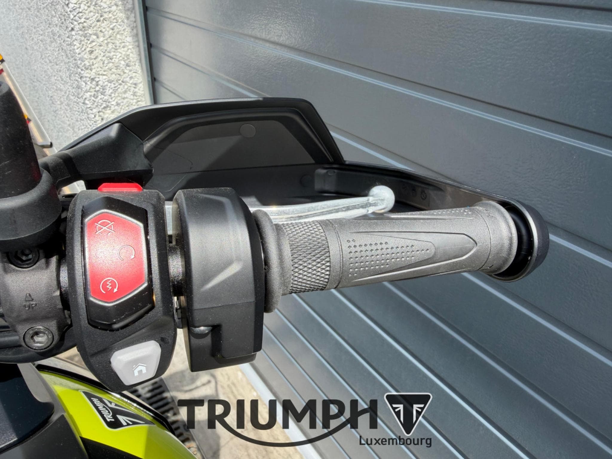 Triumph Tiger TIGER 900 RALLY PRO (2026) - Photo 8