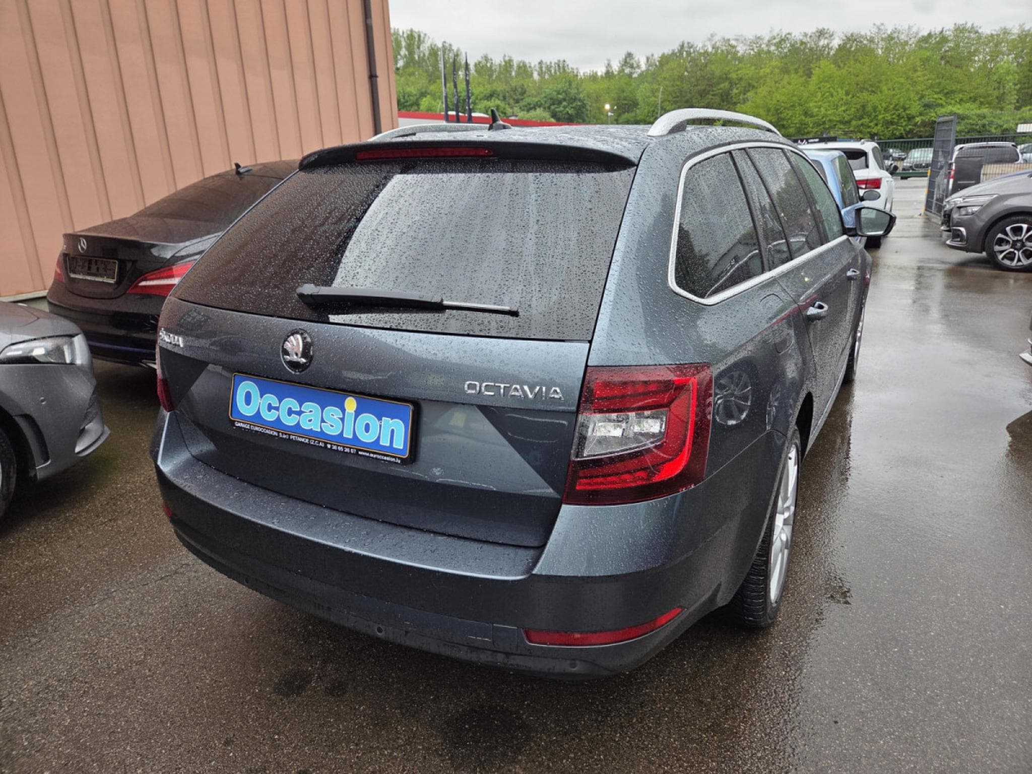 Skoda Octavia BREAK TDI DSG (2019) - Photo 4