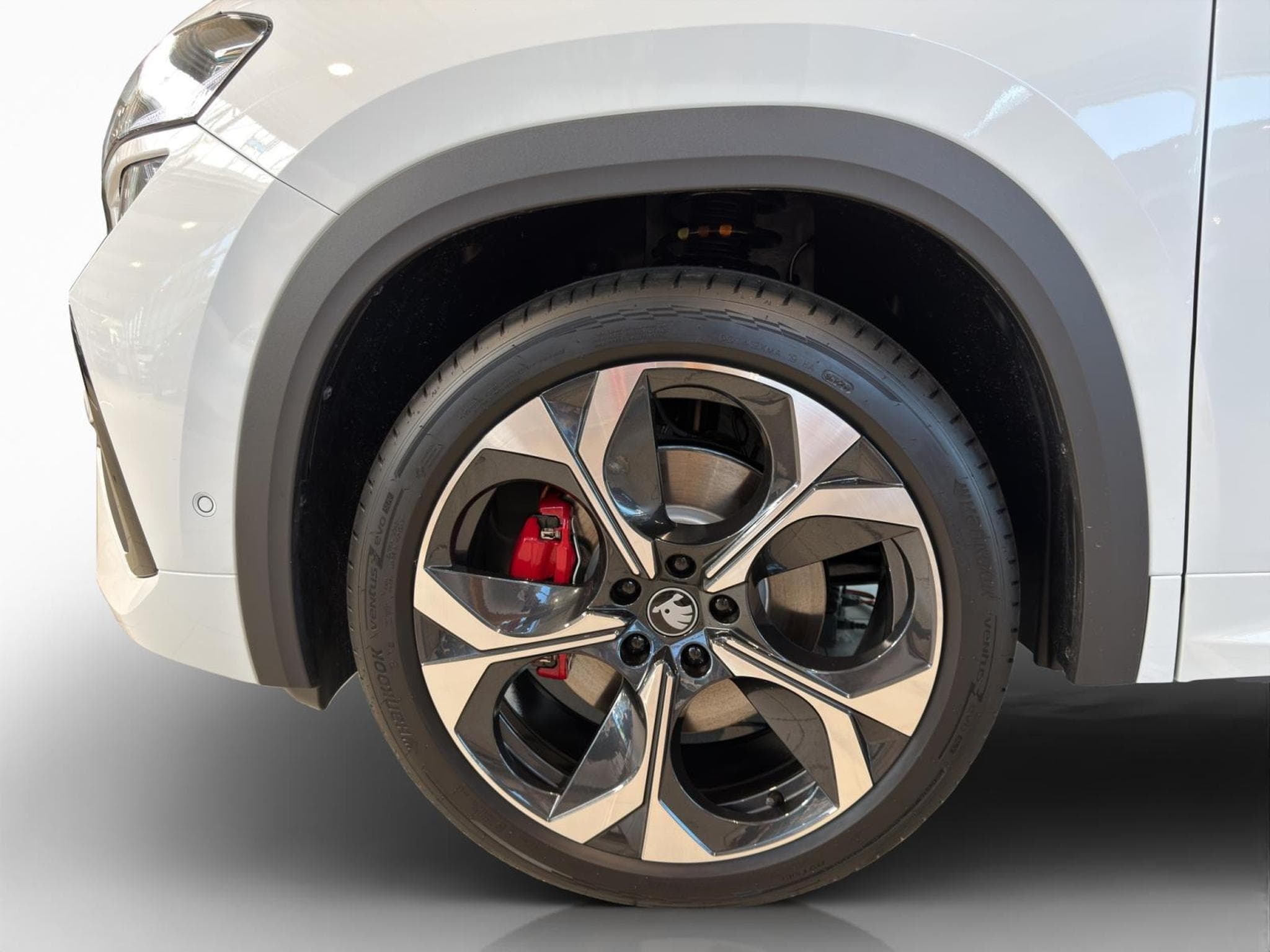 Skoda Kodiaq RS (2026) - Photo 6