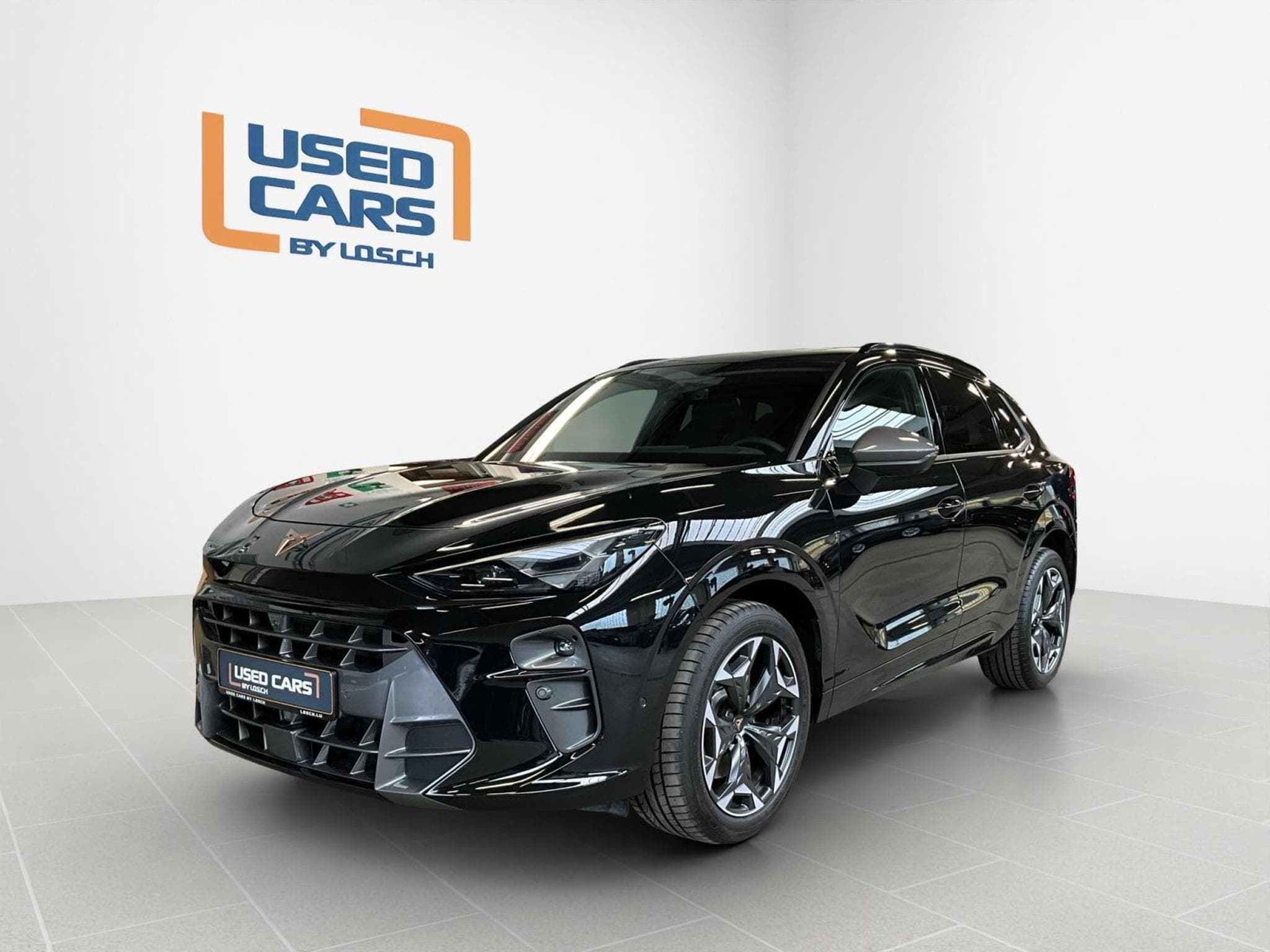 Cupra Terramar DSG+4Drive+immersive-Sennheiser+AHK+Pano (2025) - Foto 1