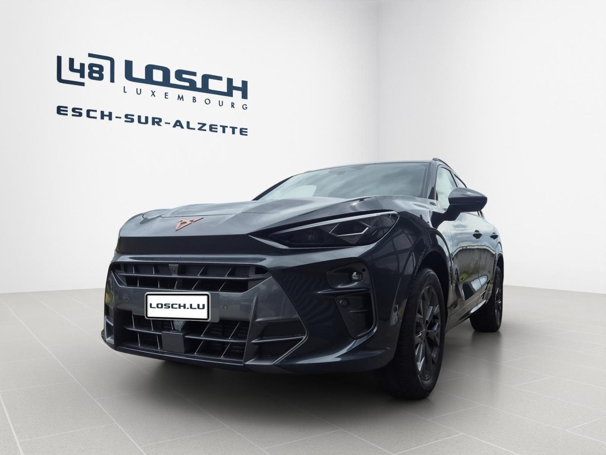 Cupra Terramar 1.5 eTSI 150ch (2026) - Foto 1