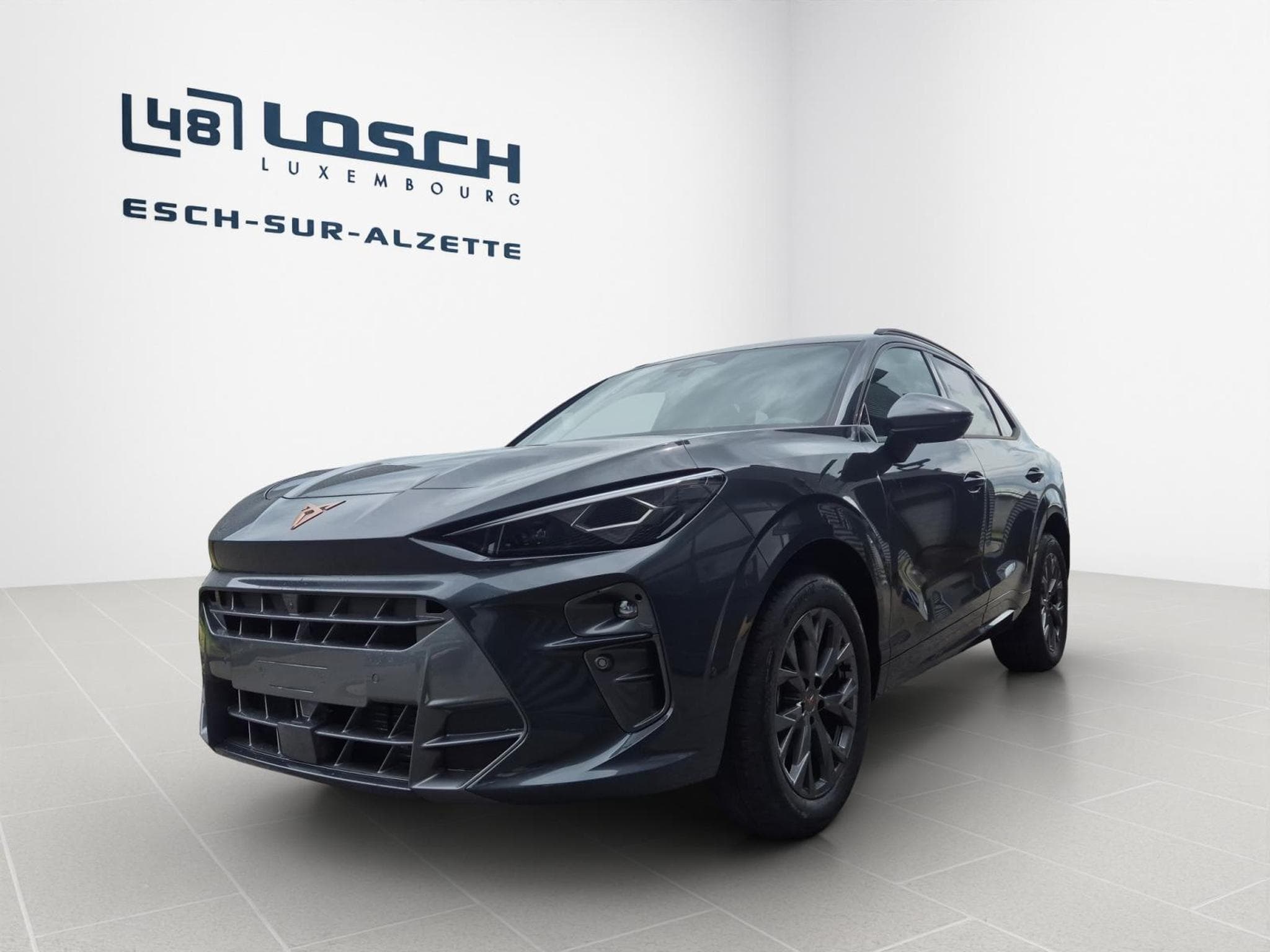 Cupra Terramar 1.5 eTSI 150ch (2026) - Foto 5