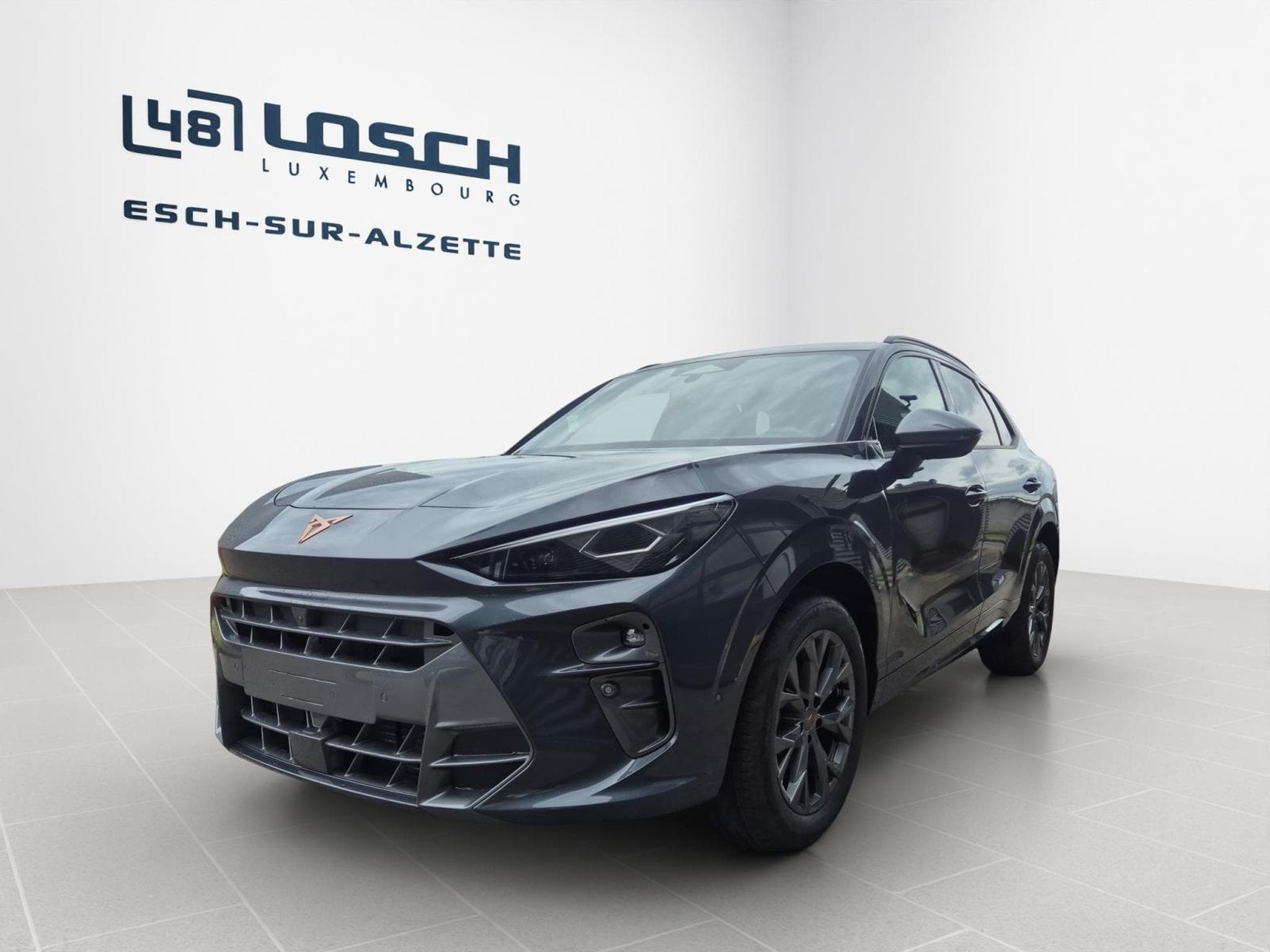 Cupra Terramar 1.5 eTSI 150ch (2026) - Foto 6