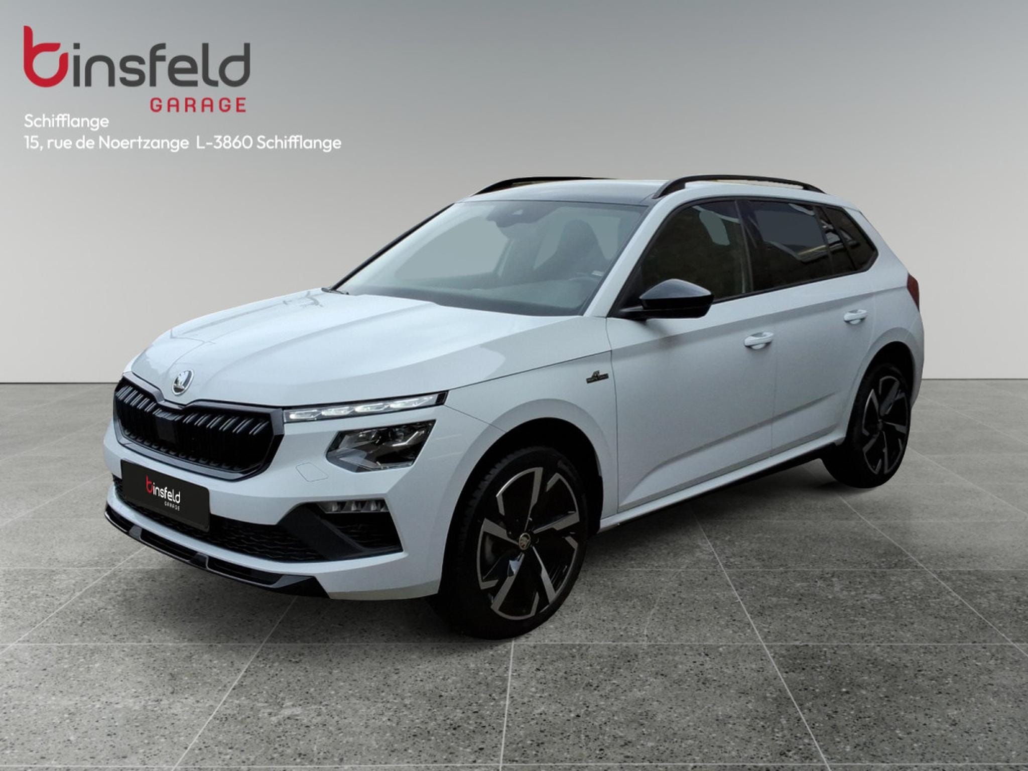 Skoda Kamiq
