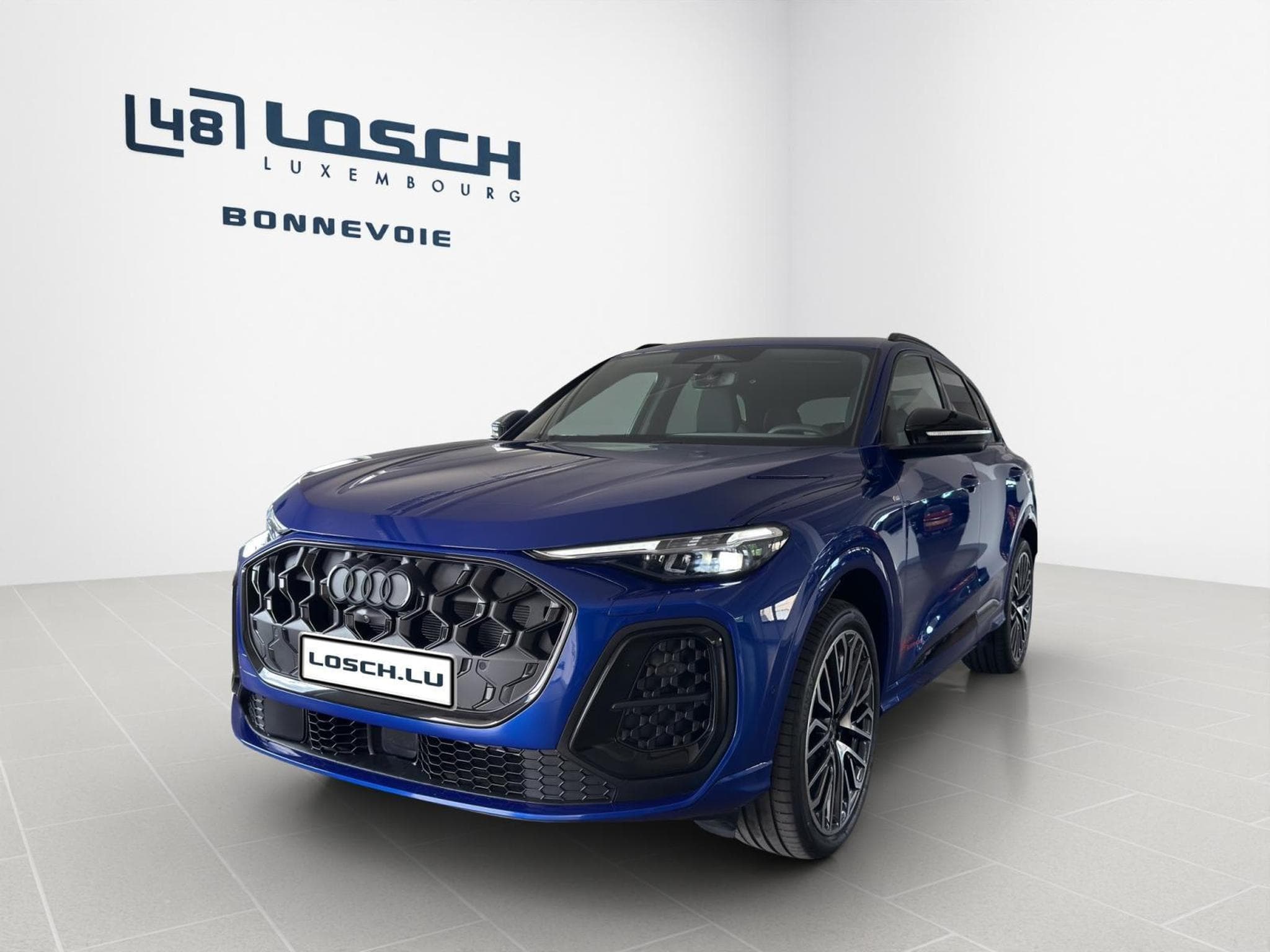 Audi Q5 SUV (2026) - Foto 2