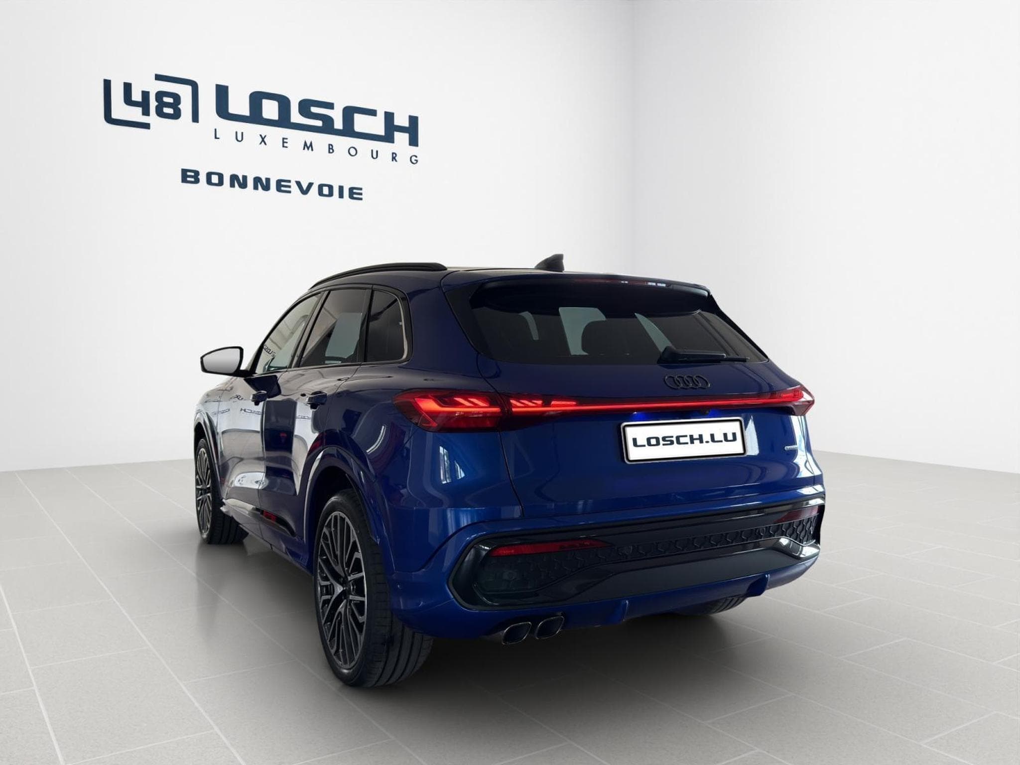 Audi Q5 SUV (2026) - Foto 6