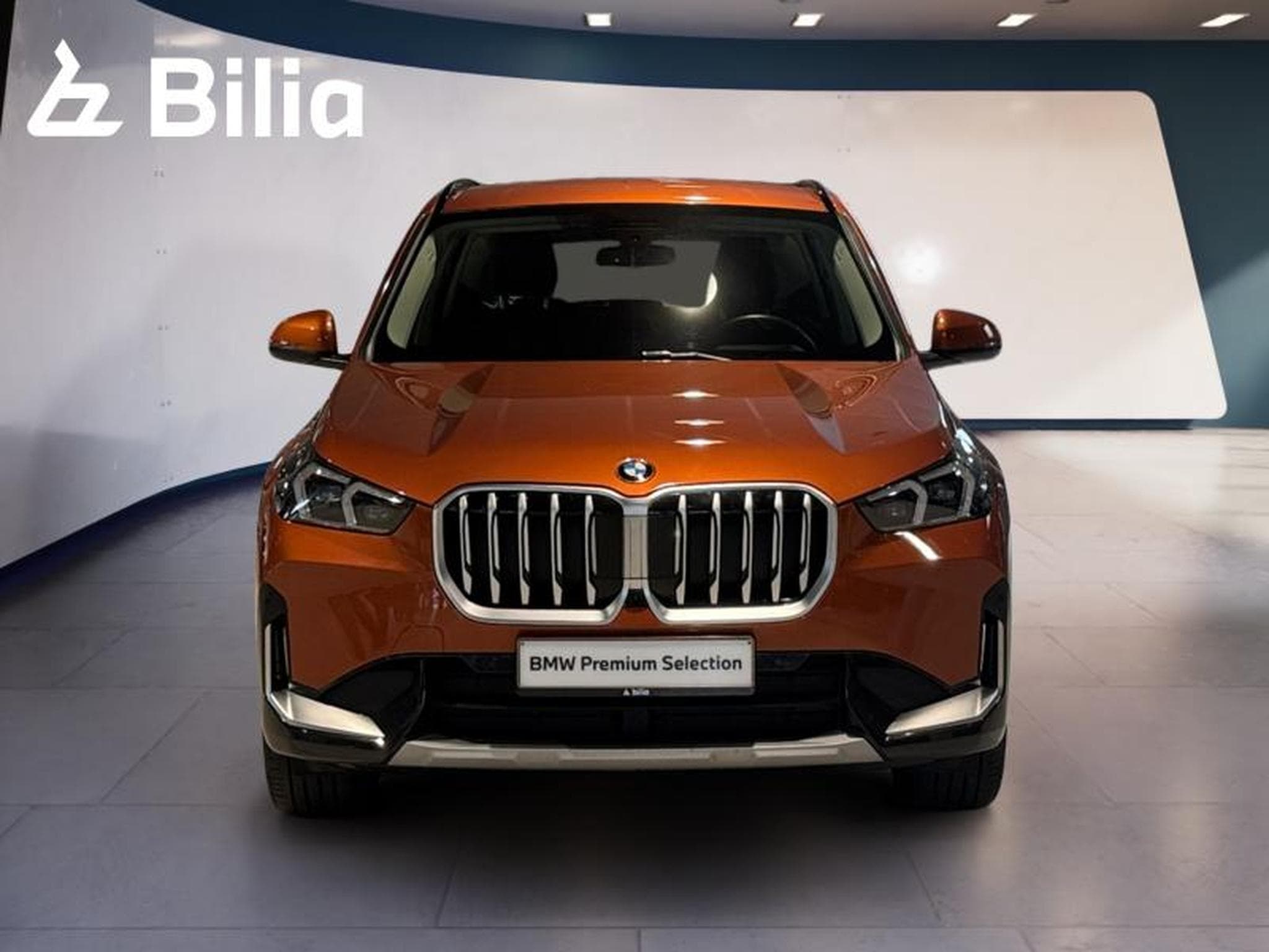 BMW X1 X1 sDrive20i xLine (2025) - Foto 2