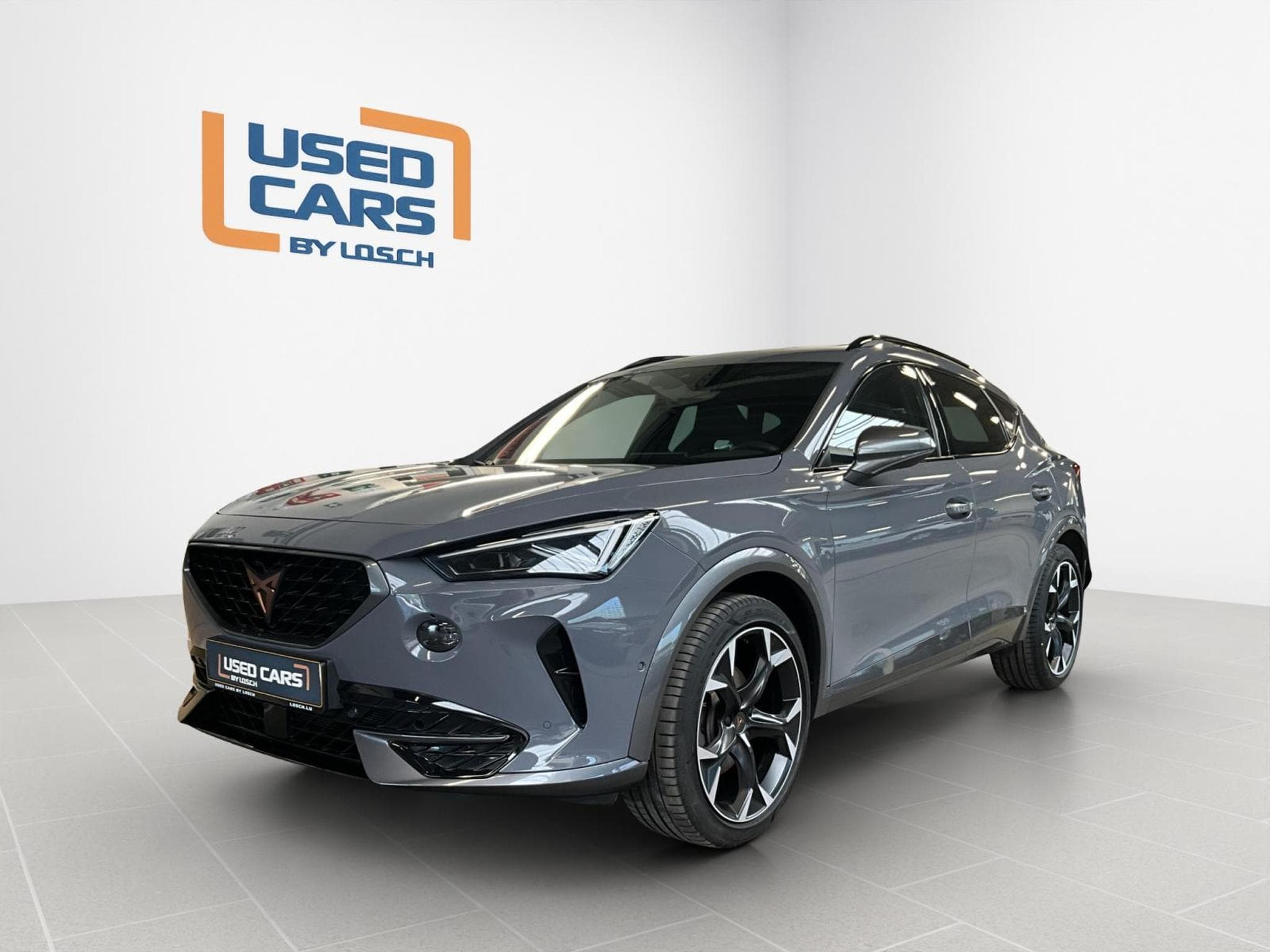 Cupra Formentor DSG+P.Pro+DCC+LedMatrix+BeatsAudio (2023) - Foto 1