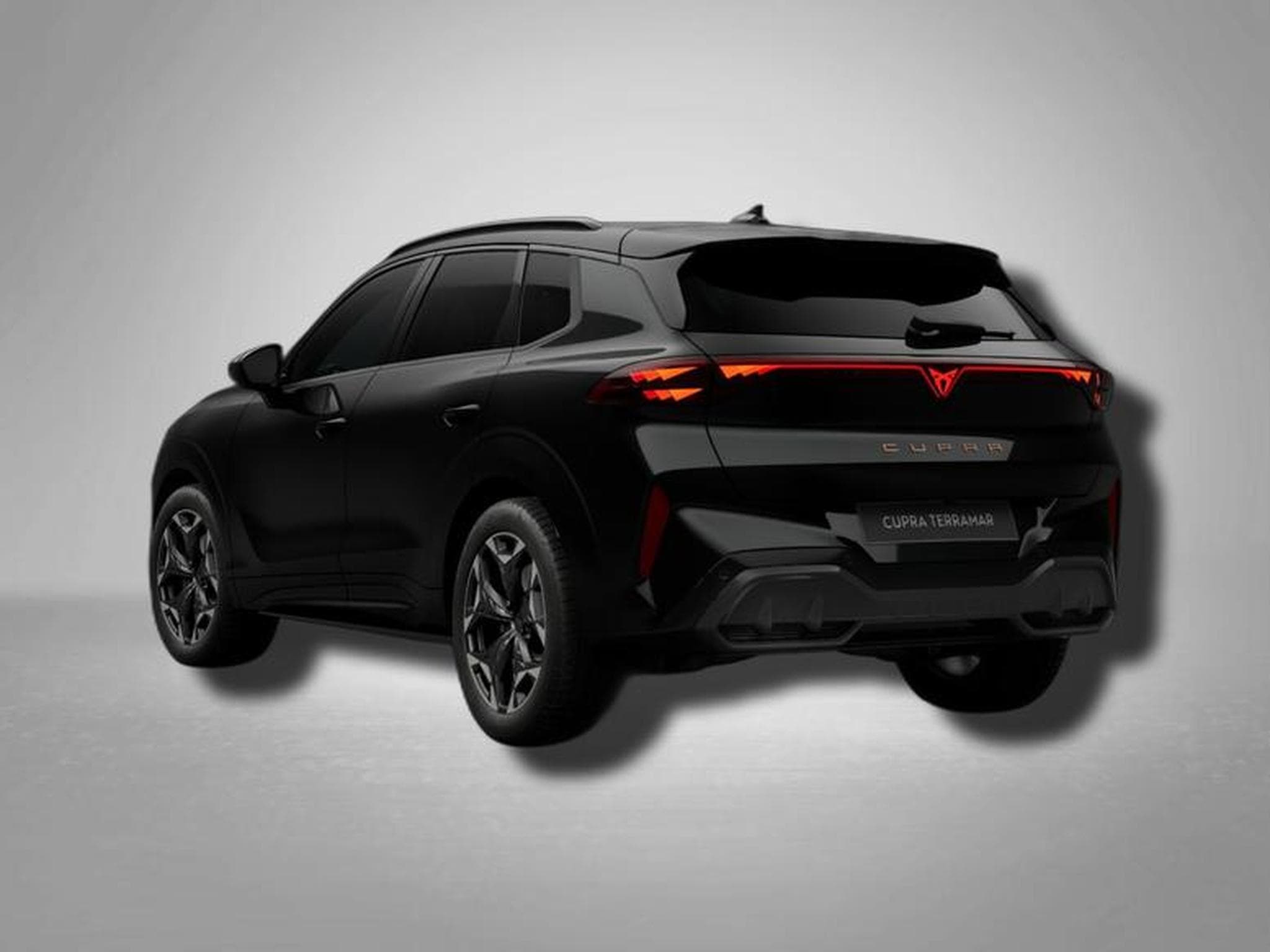 Cupra Terramar VZ 2.0 TSI 7-Gang-DSG 4Drive (2025) - Photo 2