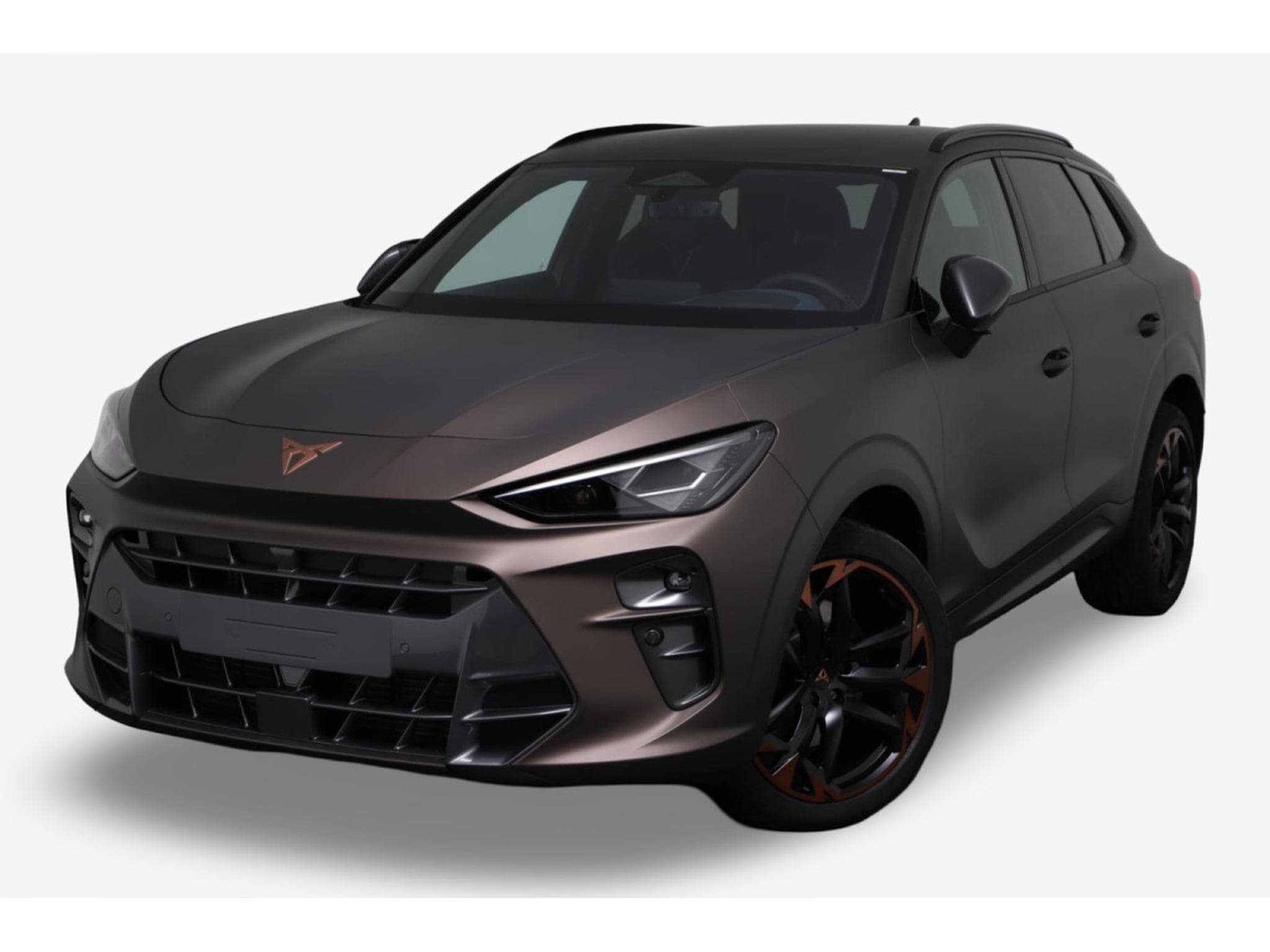 Cupra Terramar 2.0 TSI DSG 265 VZ 4Drive (2025) - Photo 2