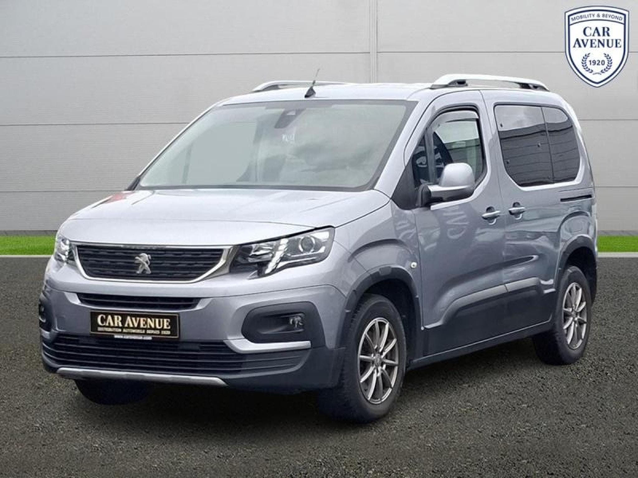 PEUGEOT Rifter
