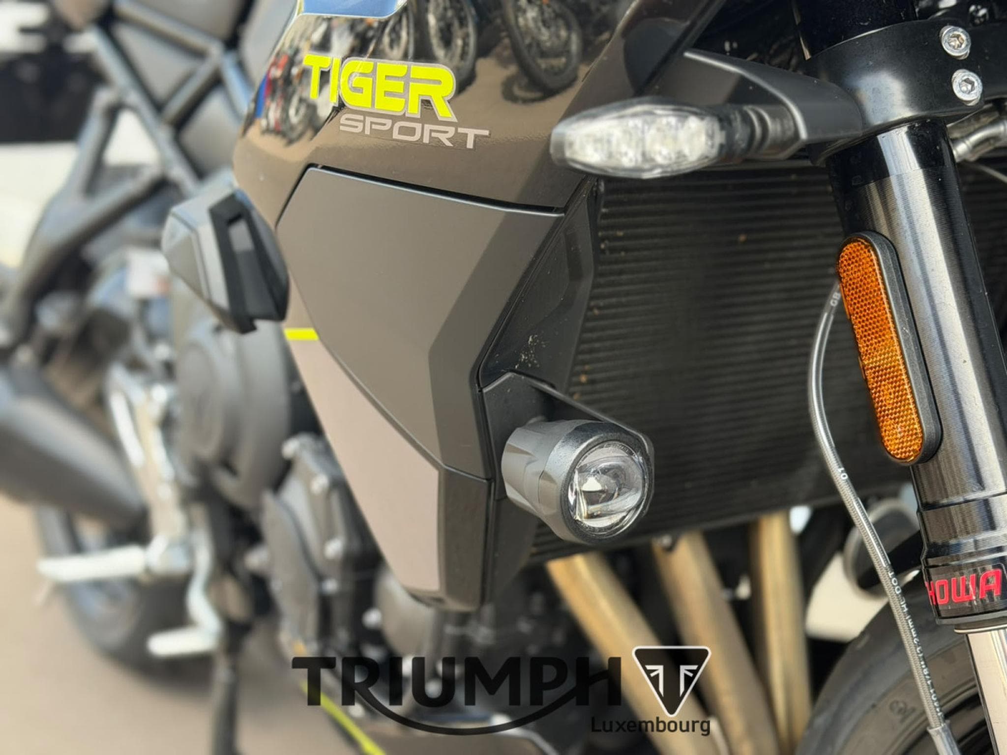 Triumph Tiger TIGER SPORT 800 (2026) - Foto 13